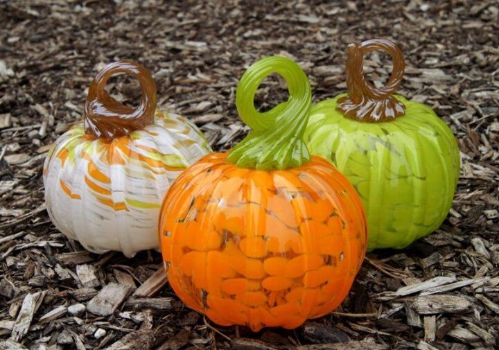 It's almost PUMPKIN SEASON! Pumpkin workshop registration starts next week. www.akronglassworks.com #pumpkinseason #pumpkinspice #glassblowing #akronglassworks
https://conta.cc/3rqEnv3