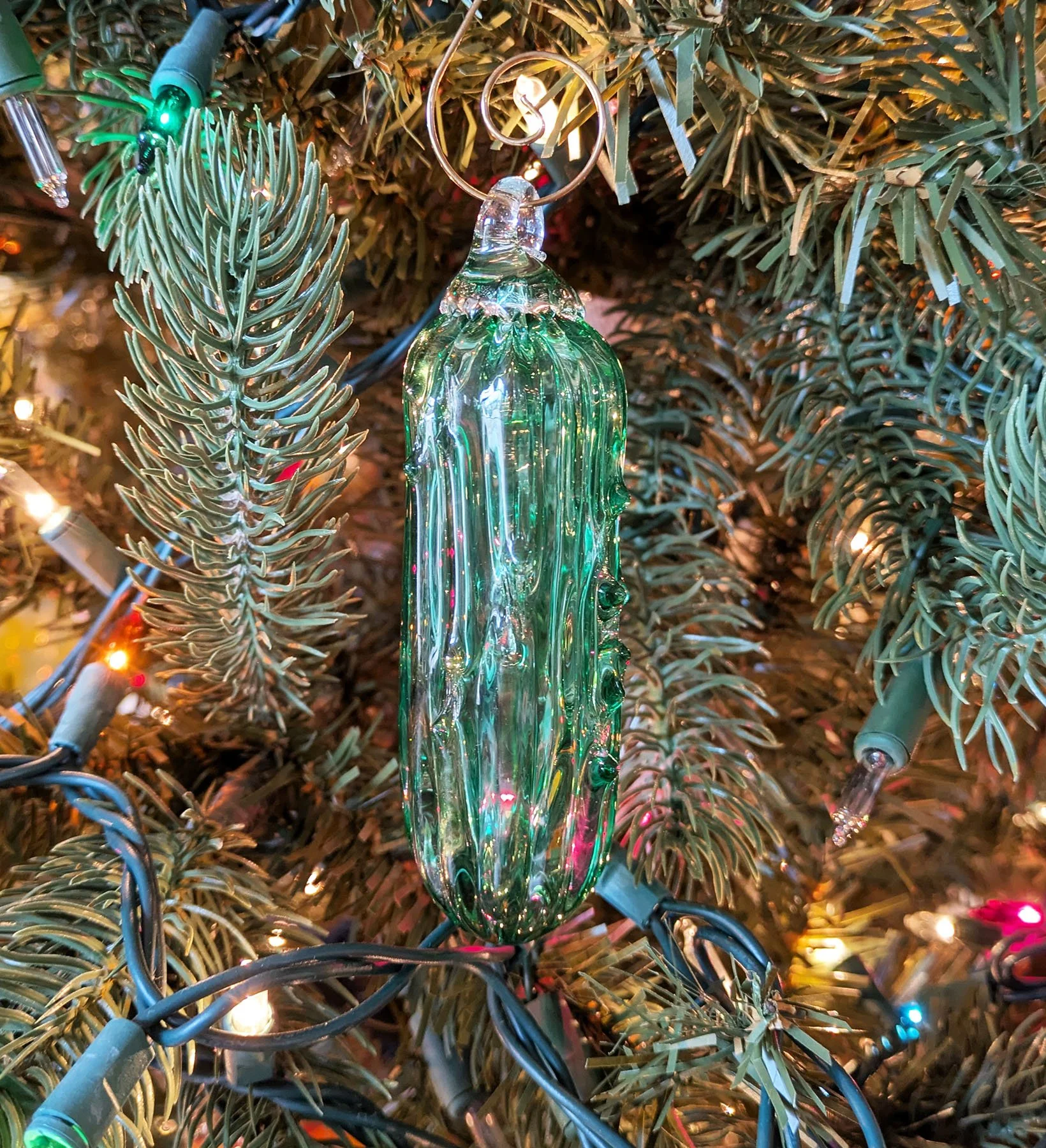 pickle on tree 24.jpg