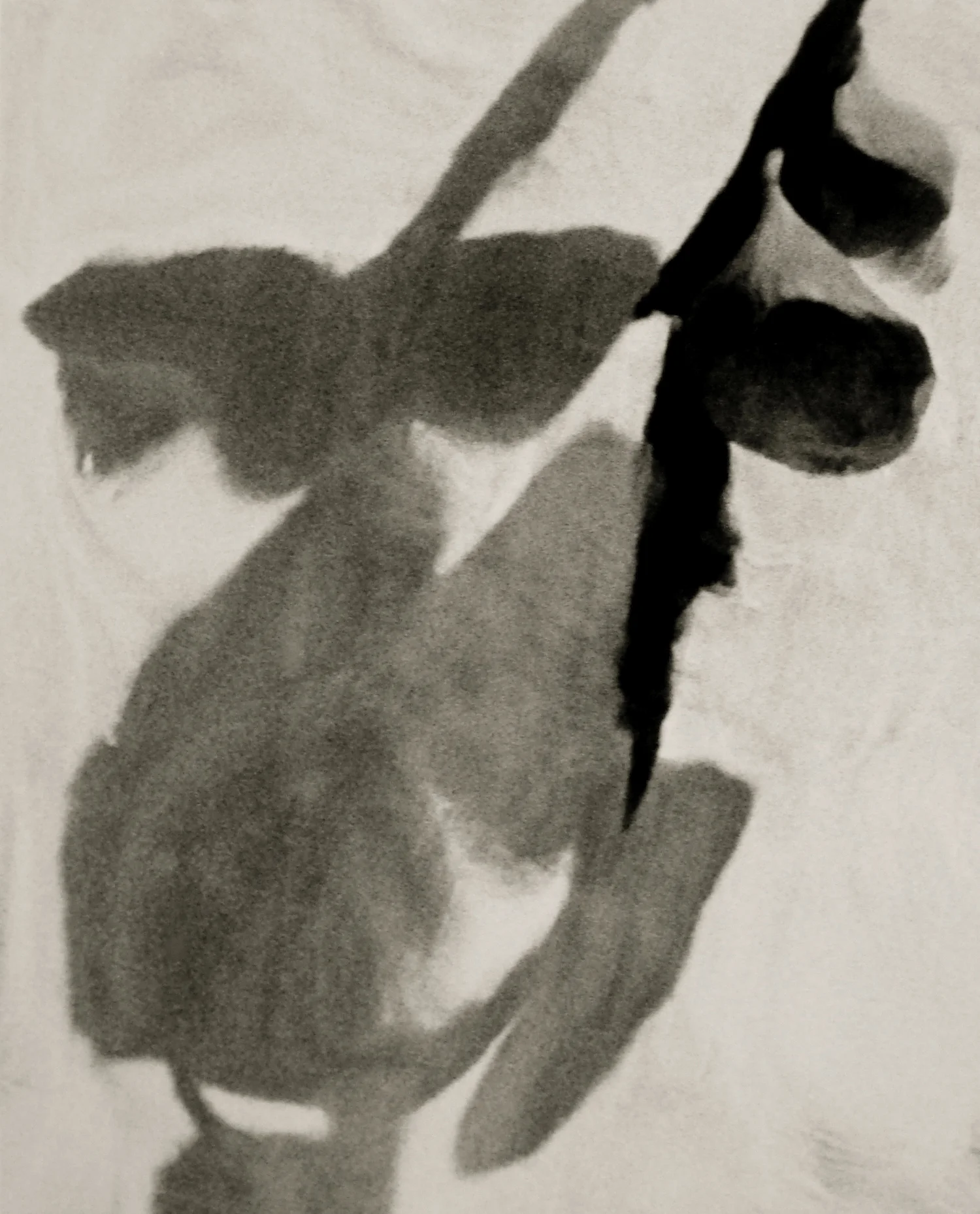 Renderings2 copy.jpg