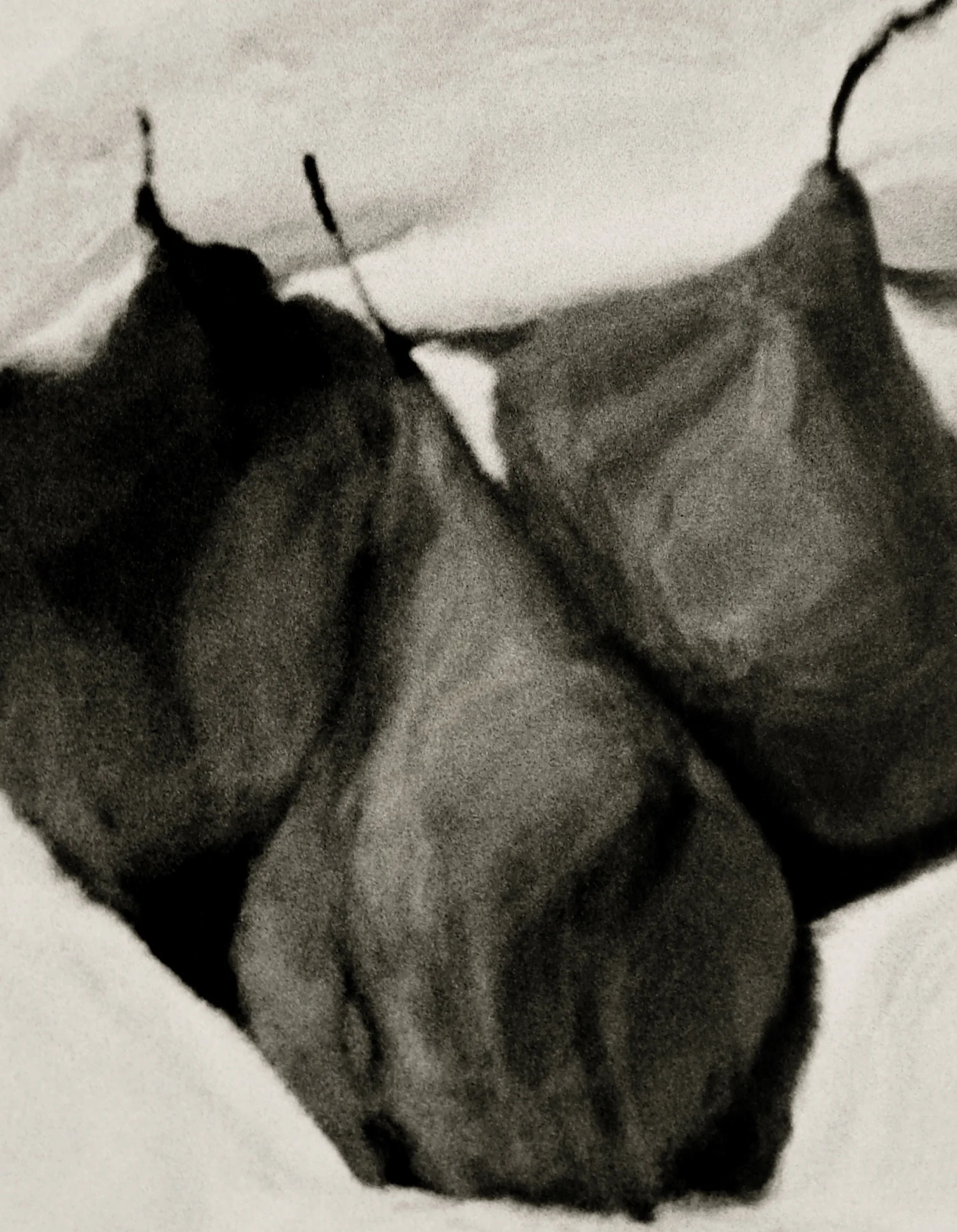 Renderings1 copy.jpg