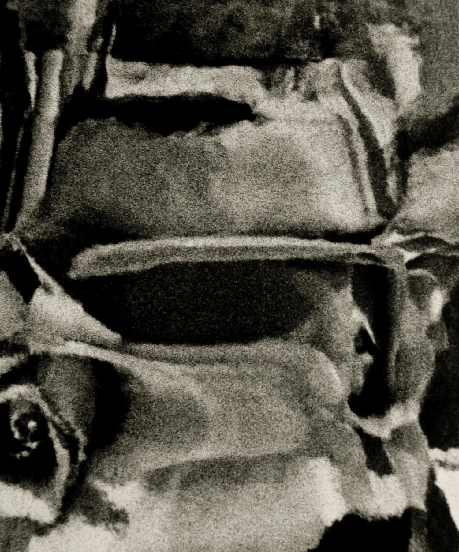 Renderings3 copy.jpg