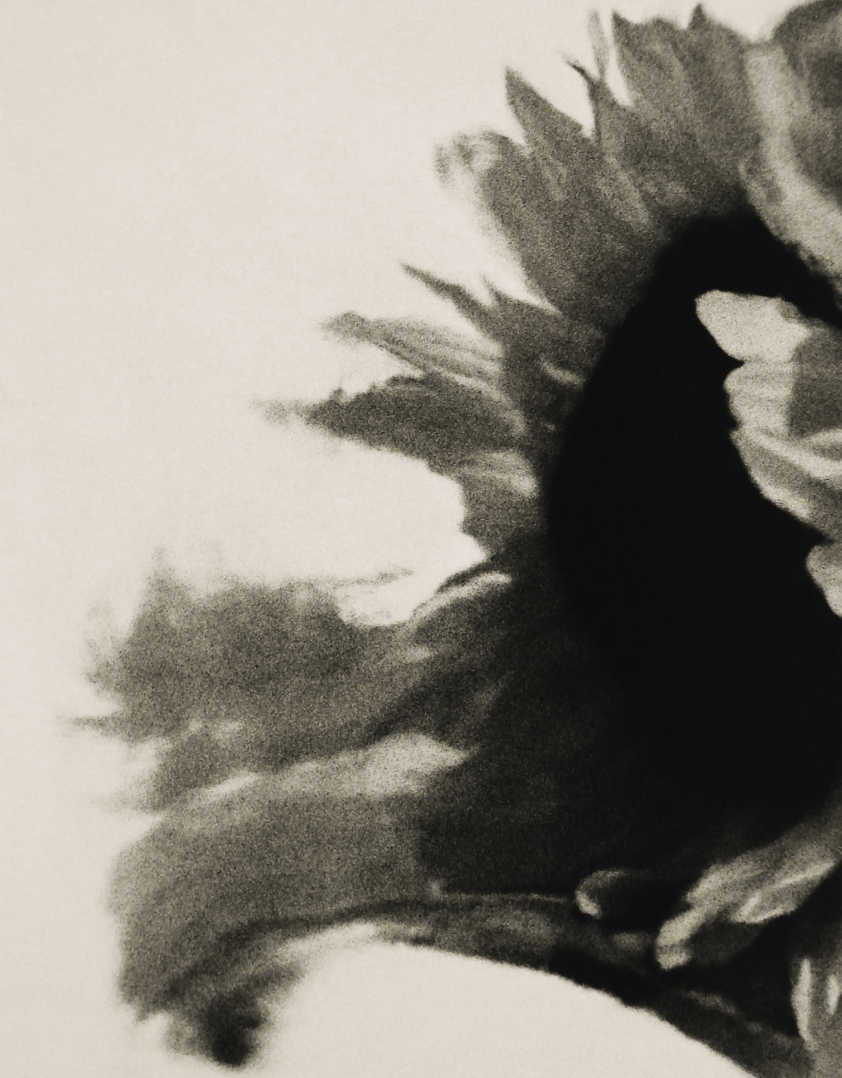 Renderings4 copy.jpg