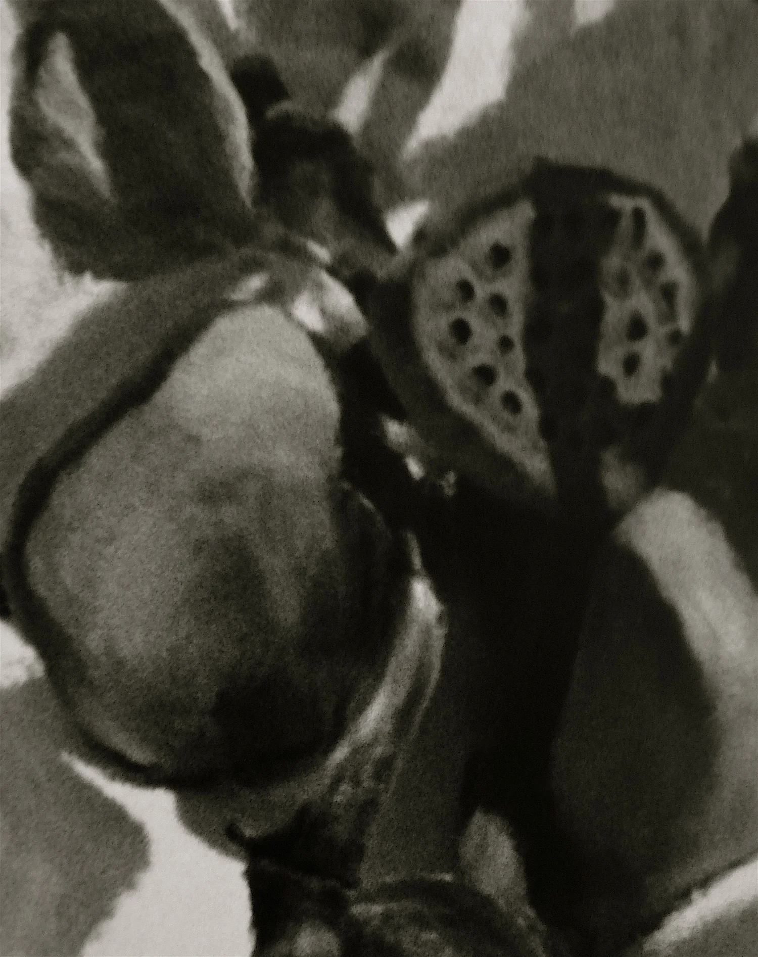 Renderings5 copy.jpg