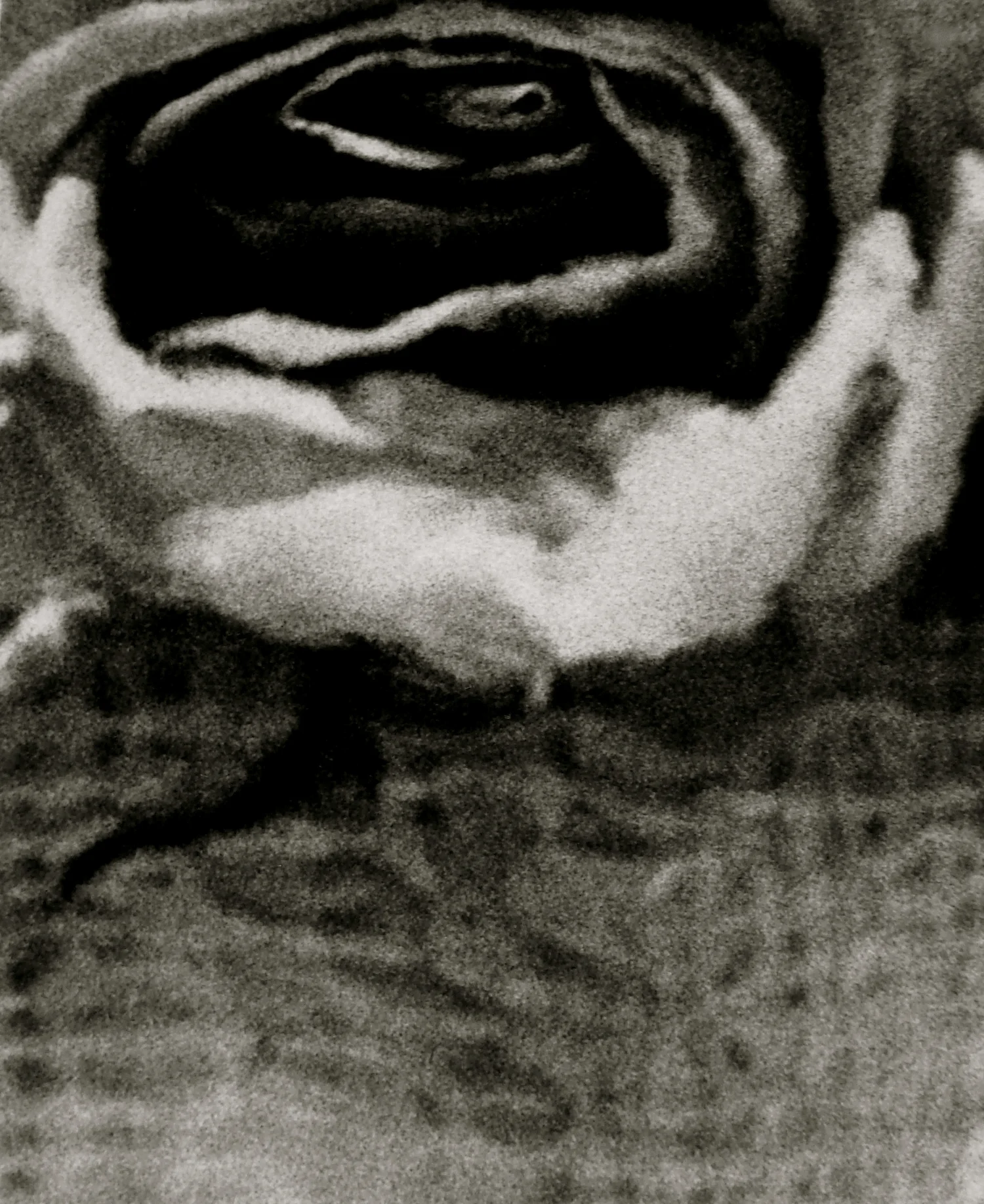 Renderings8 copy.jpg