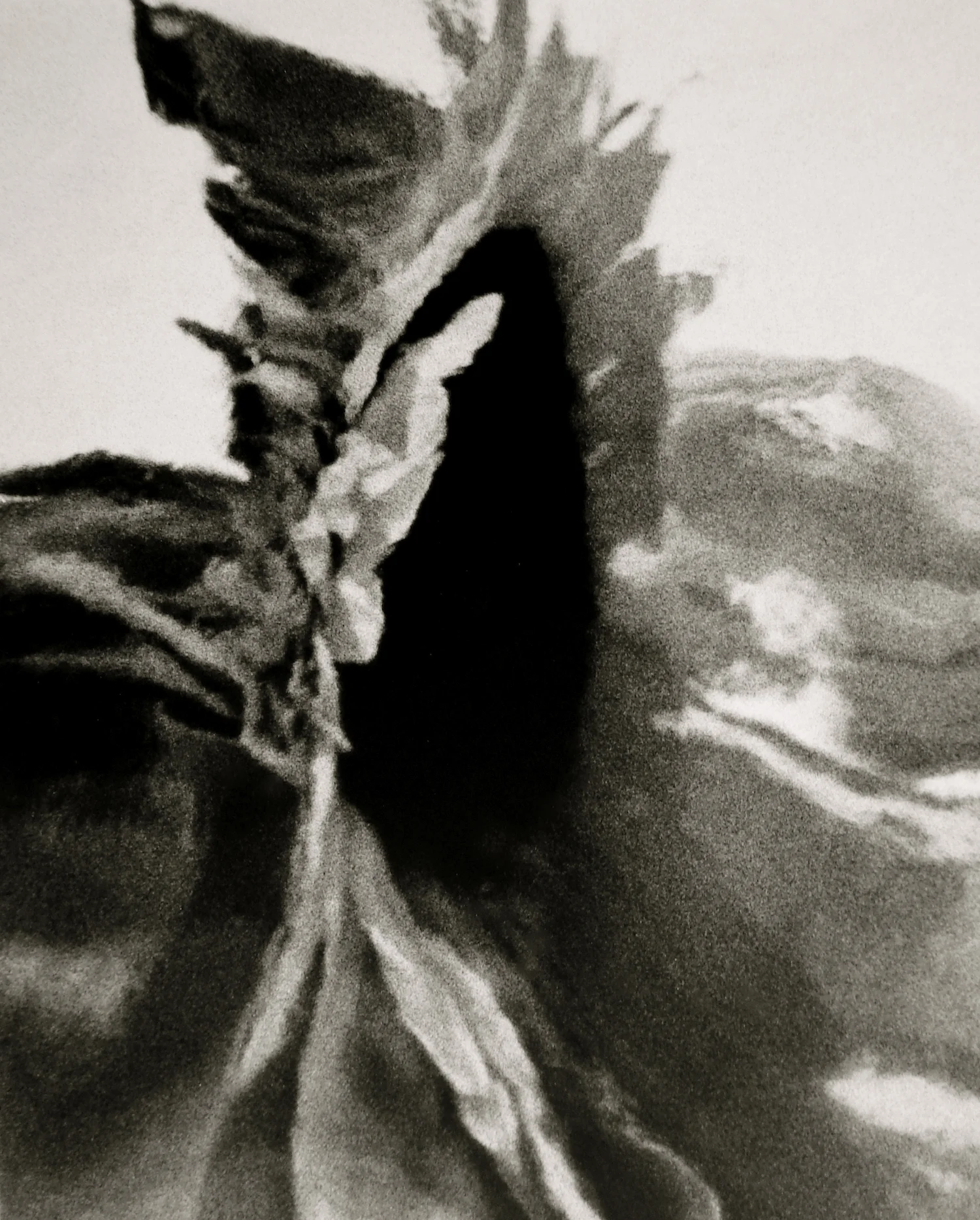 Renderings9 copy.jpg