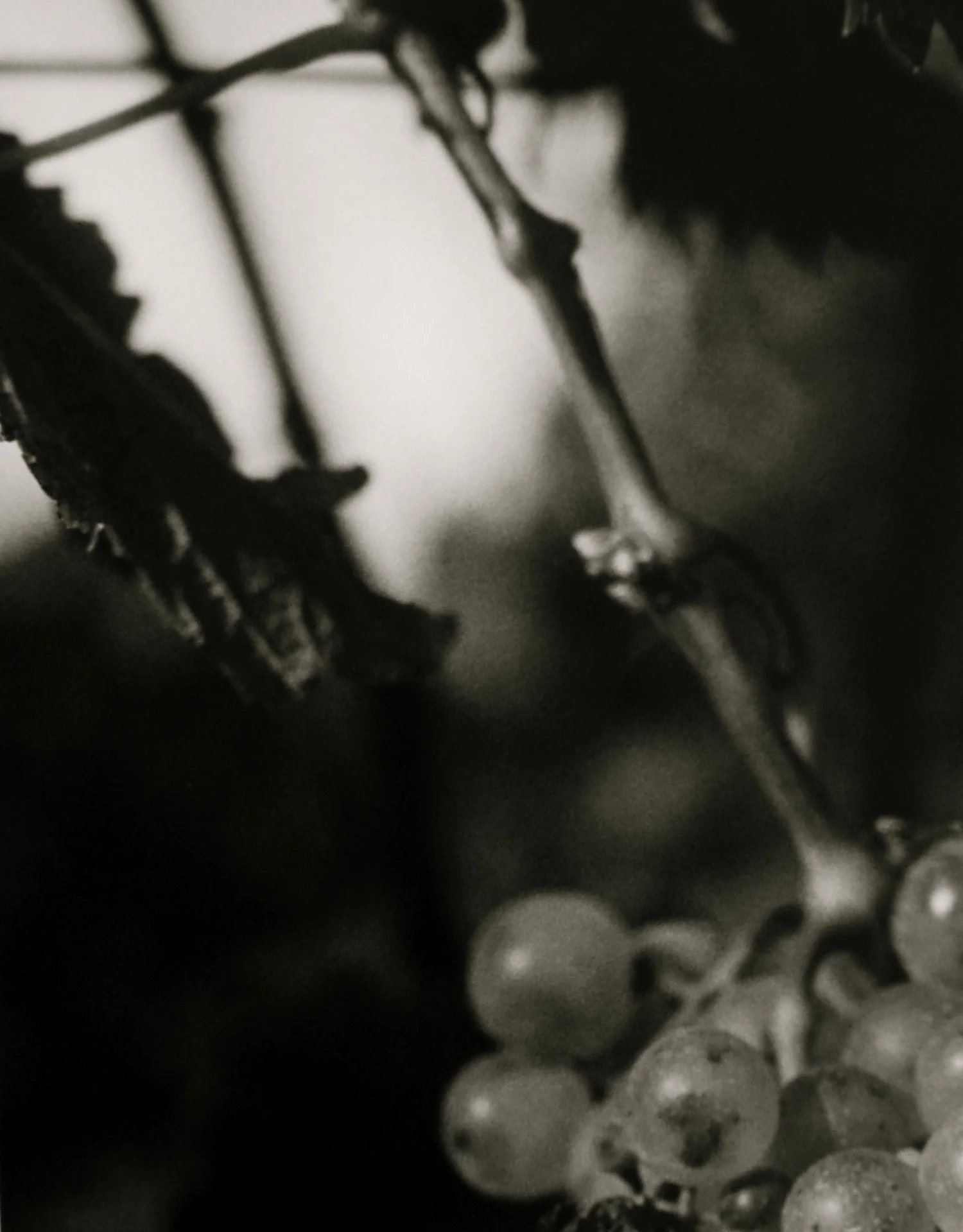 Detail4 copy.jpg