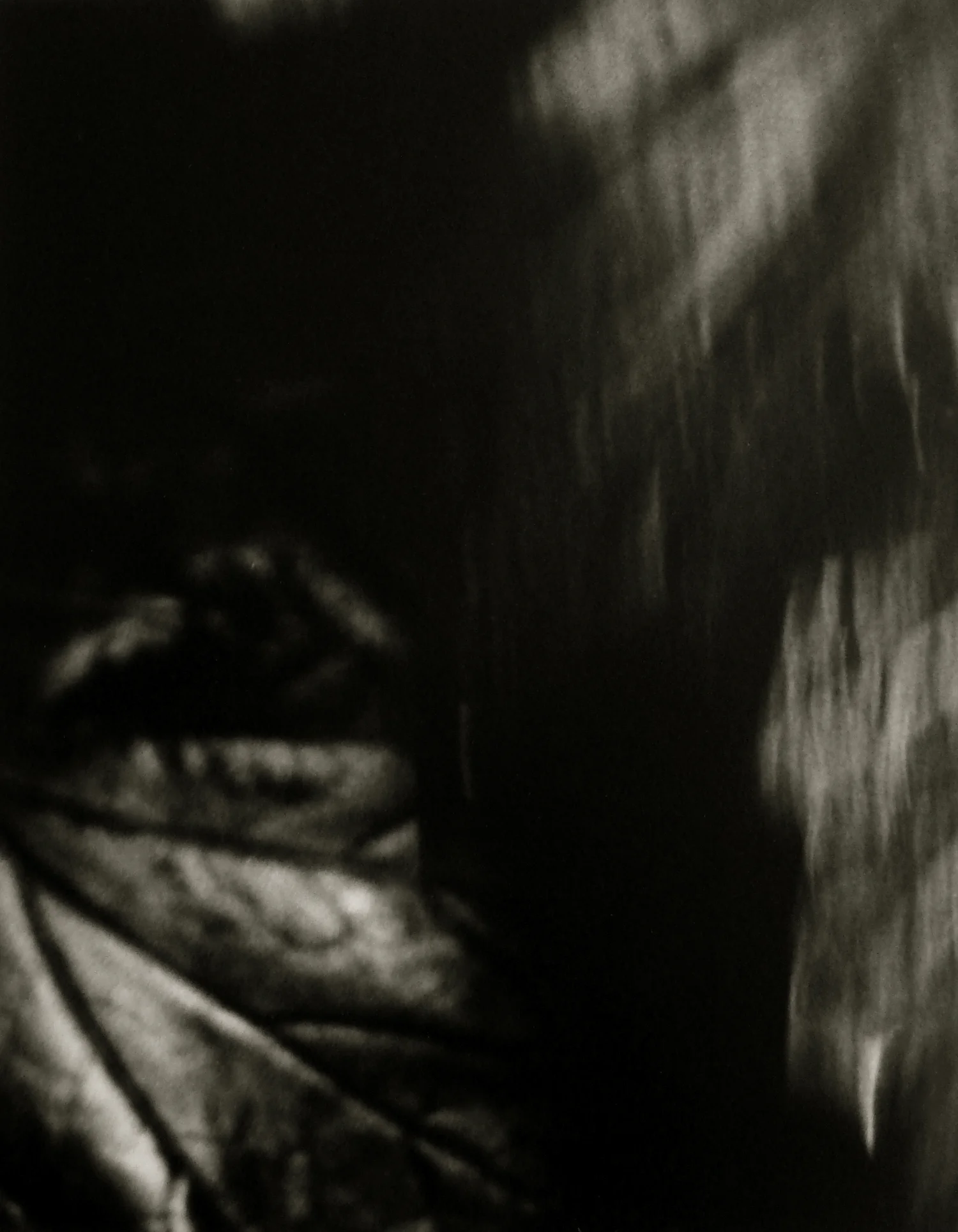 Detail11 copy.jpg