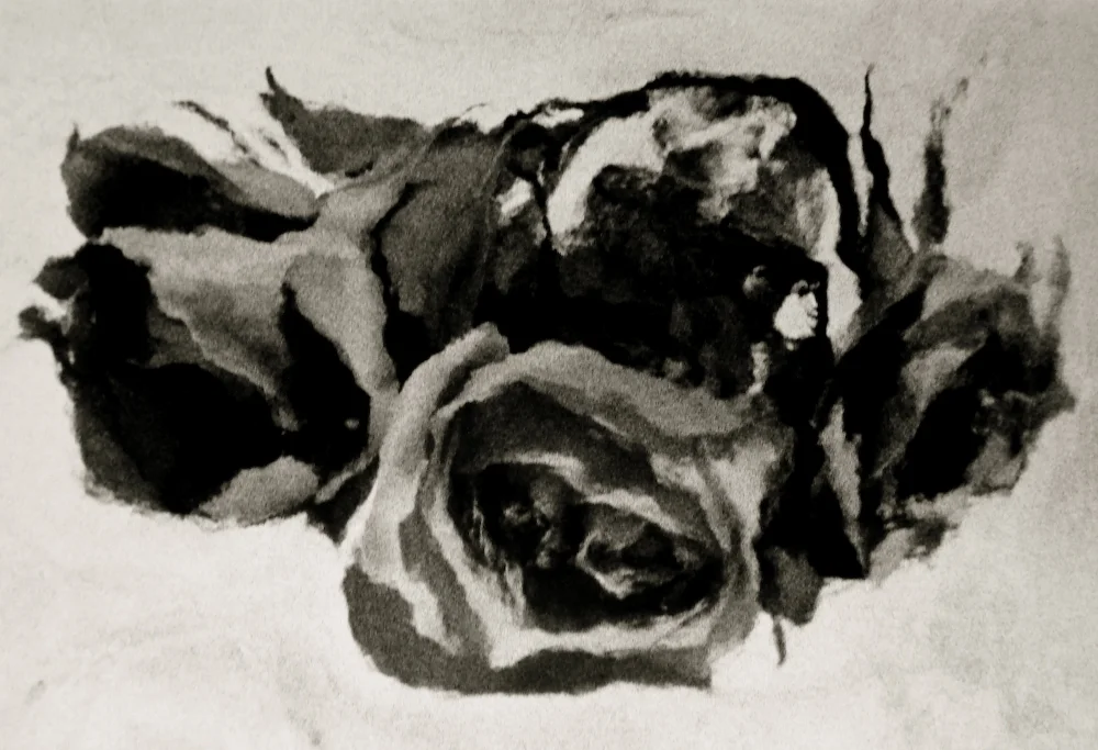 Renderings6 copy.jpg