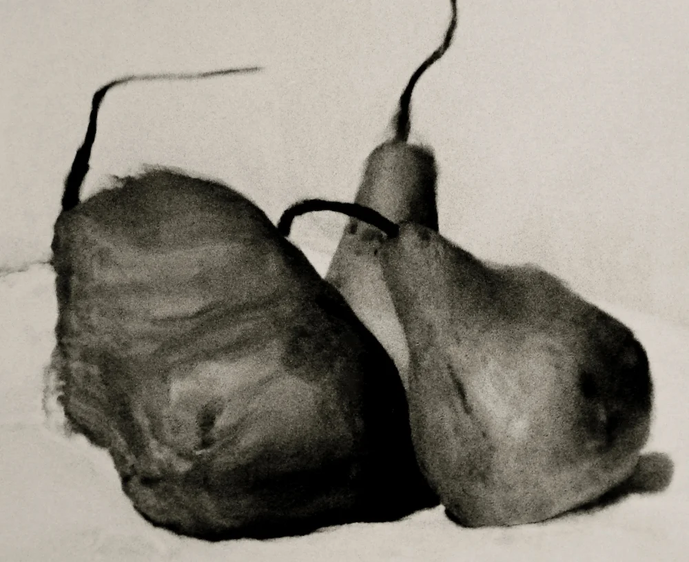 Renderings10 copy.jpg