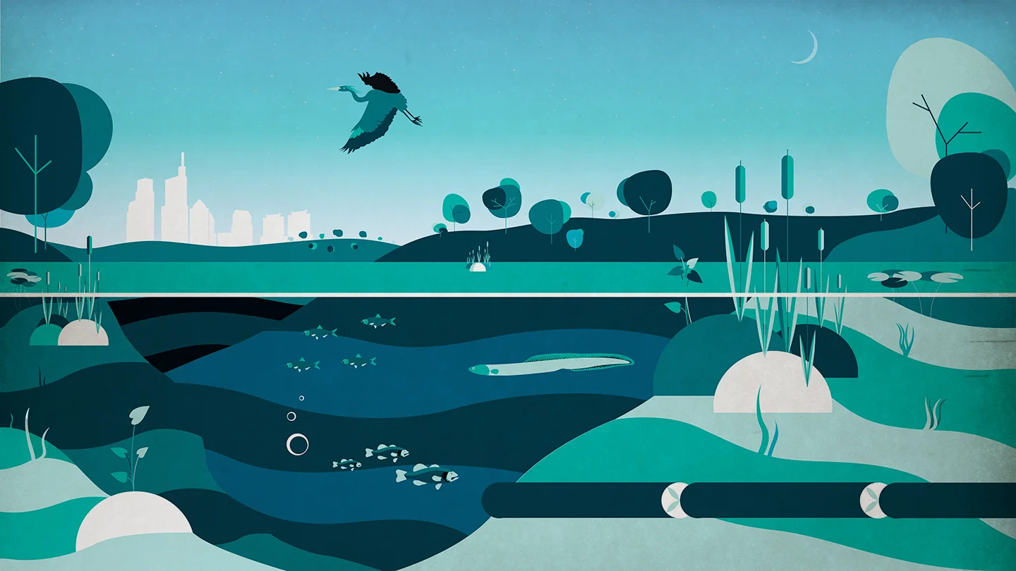 The Living Shoreline