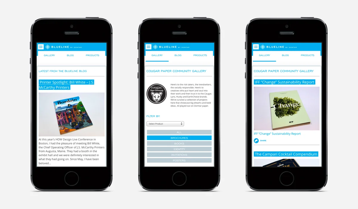 Blueline_Website_7.jpg