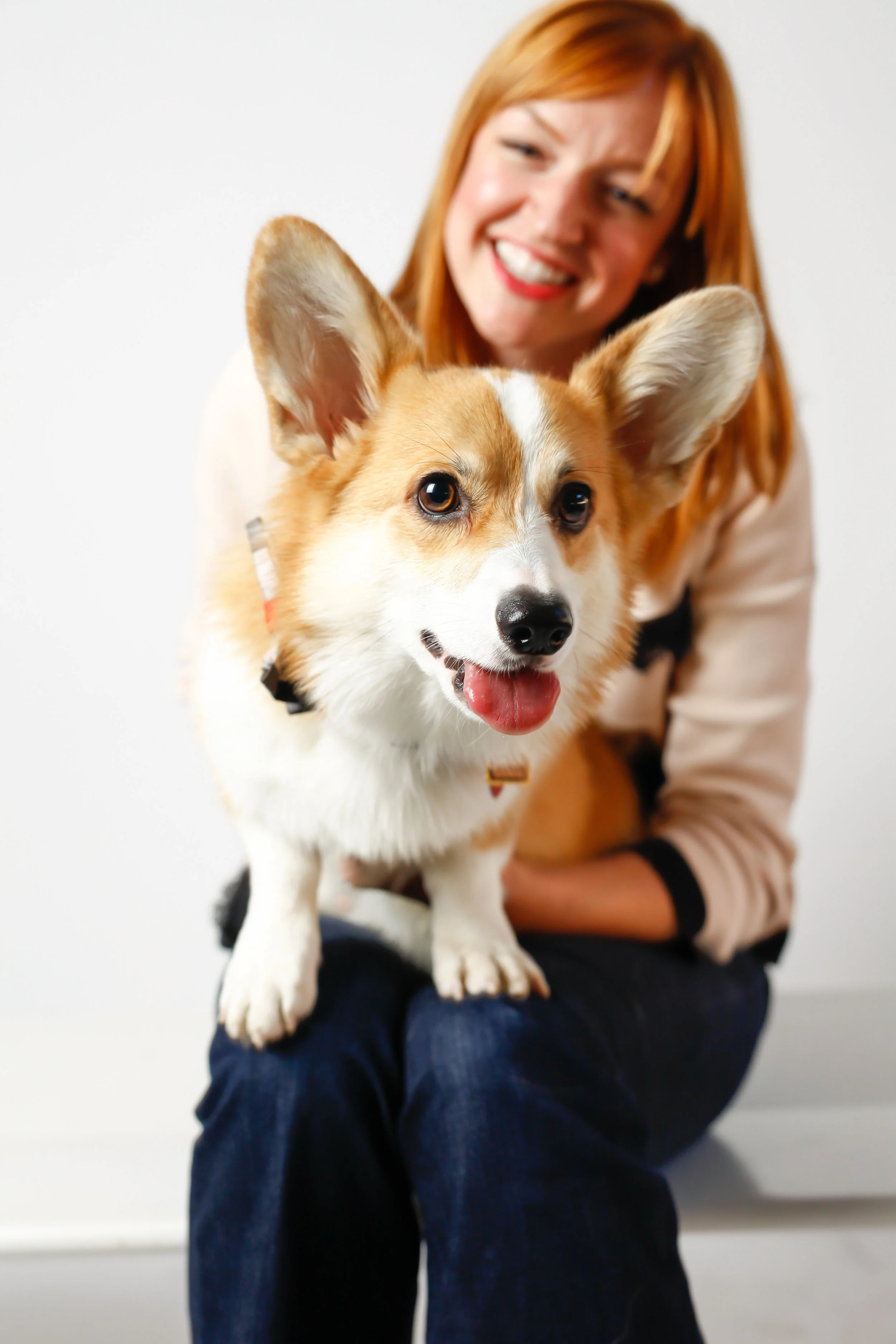 CAM_LaurenRodgers(corgi)-13.JPG