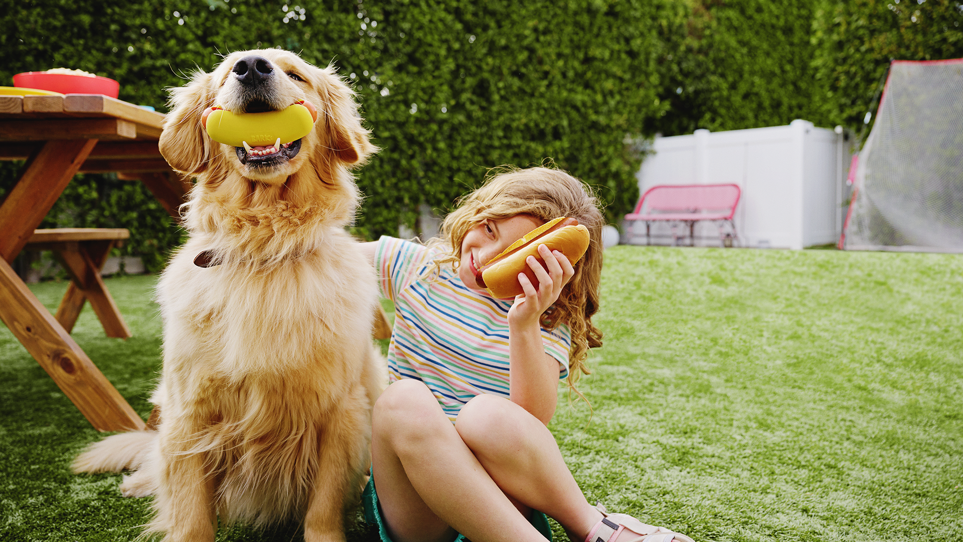 barkbox.png