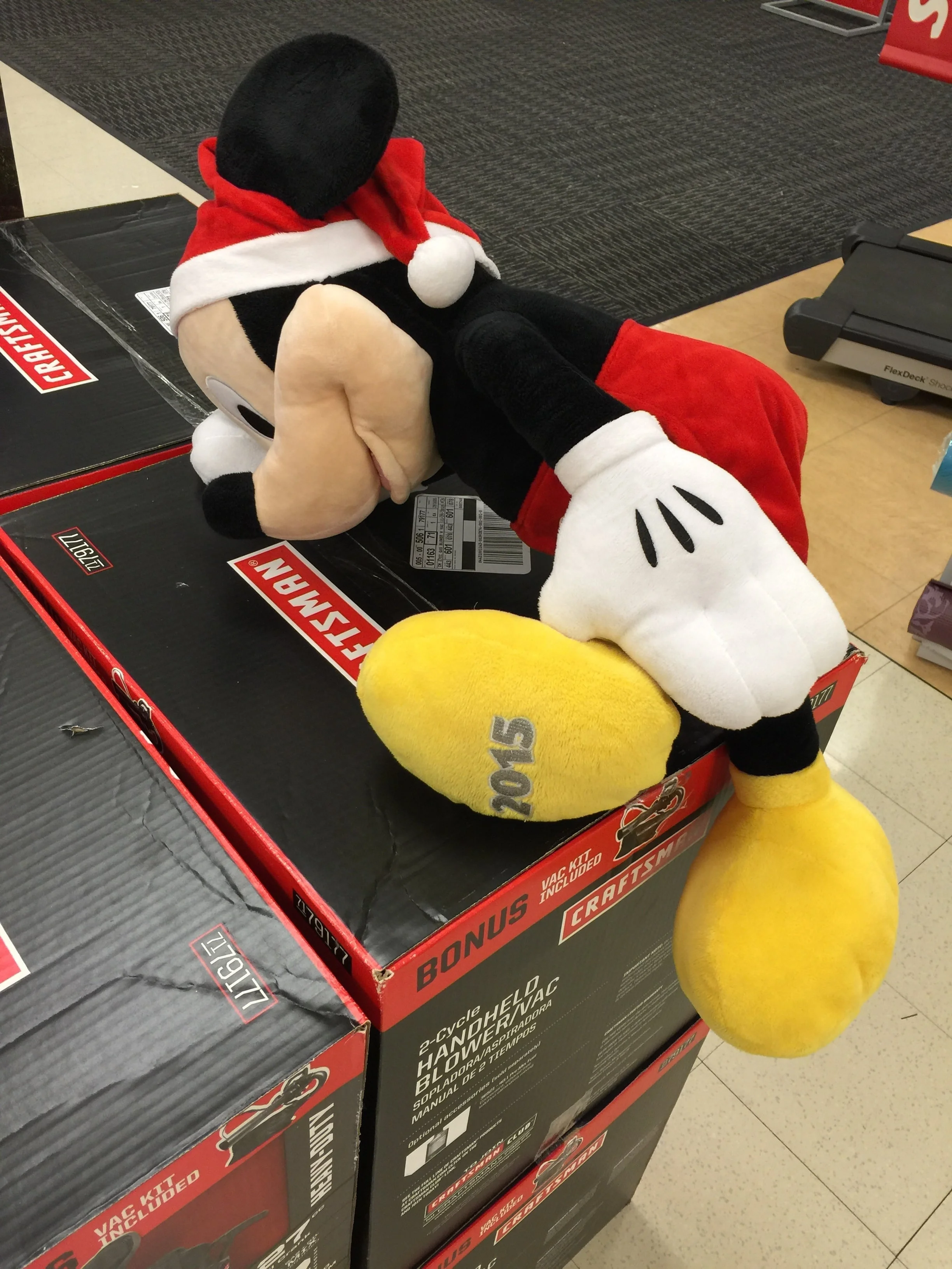 image.jpg