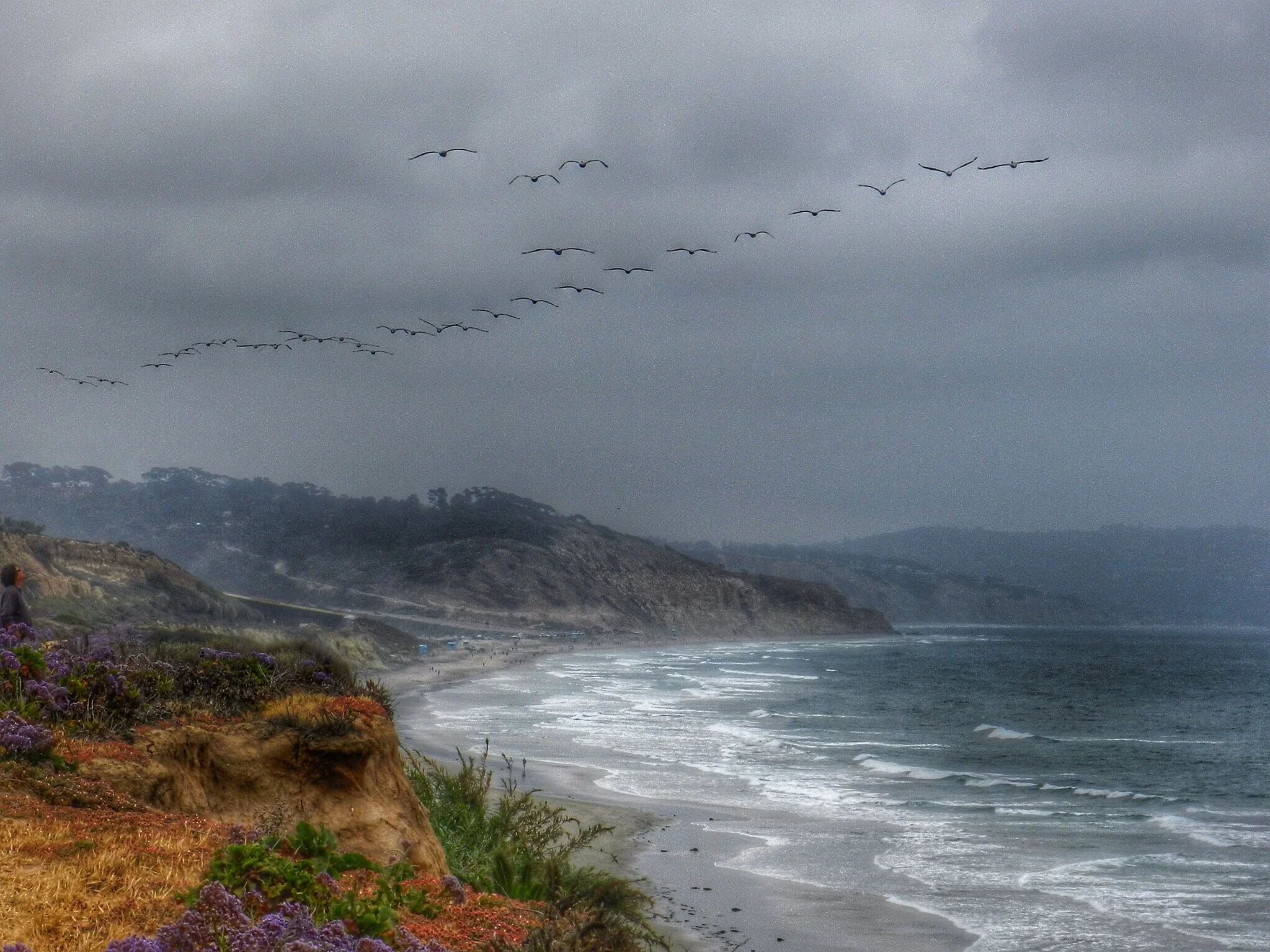 Torrey Pines Beach, Del Mar, CA