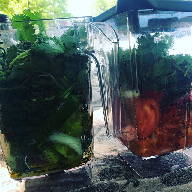 Sweetcycle salsa with @citygrowersnyc  in Taffe Playground.  Homemade tortilla chips fried outside with our own spice mix.  #tortillachips #greensalsa #outdoorcooking #healthyfoodforkids