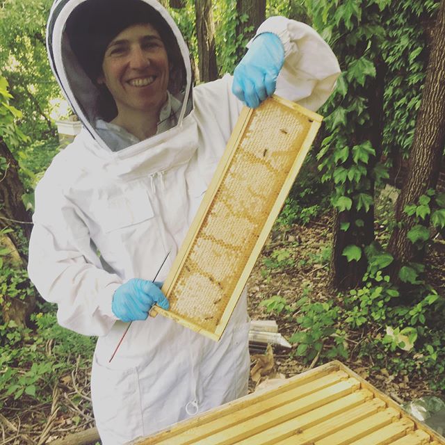 I am finally a Beekeeper!! My nickname my whole life, coined by my brother Aaron.  A riff on &ldquo;Katie-B.&rdquo; Tending the hives in the Naval Yard Native plant habitat with @citygrowersnyc beekeeper Renel Saint George.  #beekeeper #nativeplant