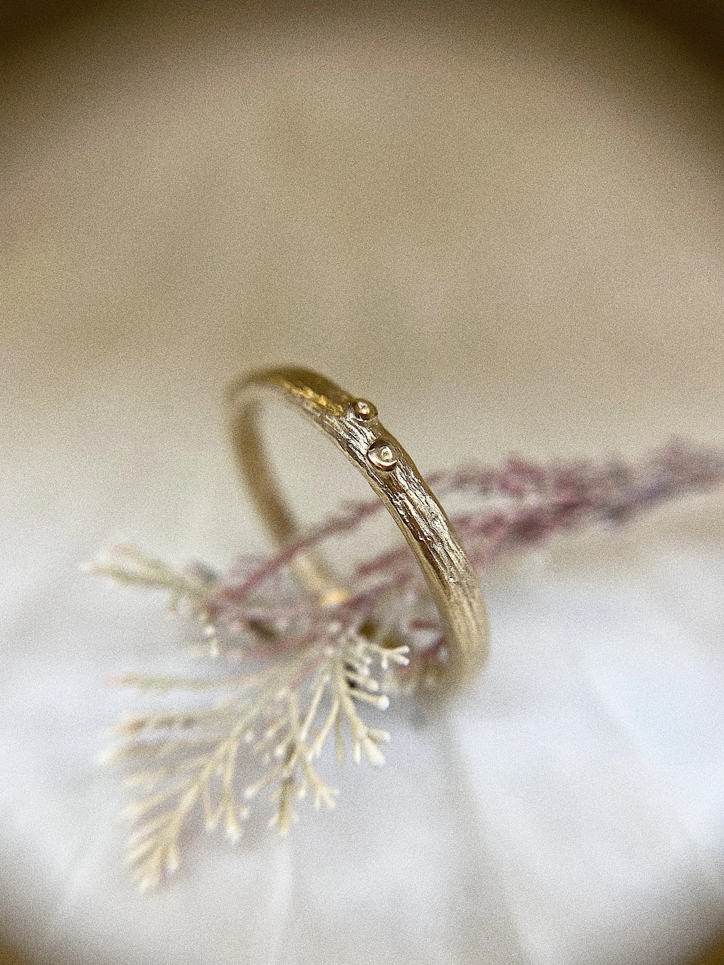 Drift wood and barnalce band.JPG