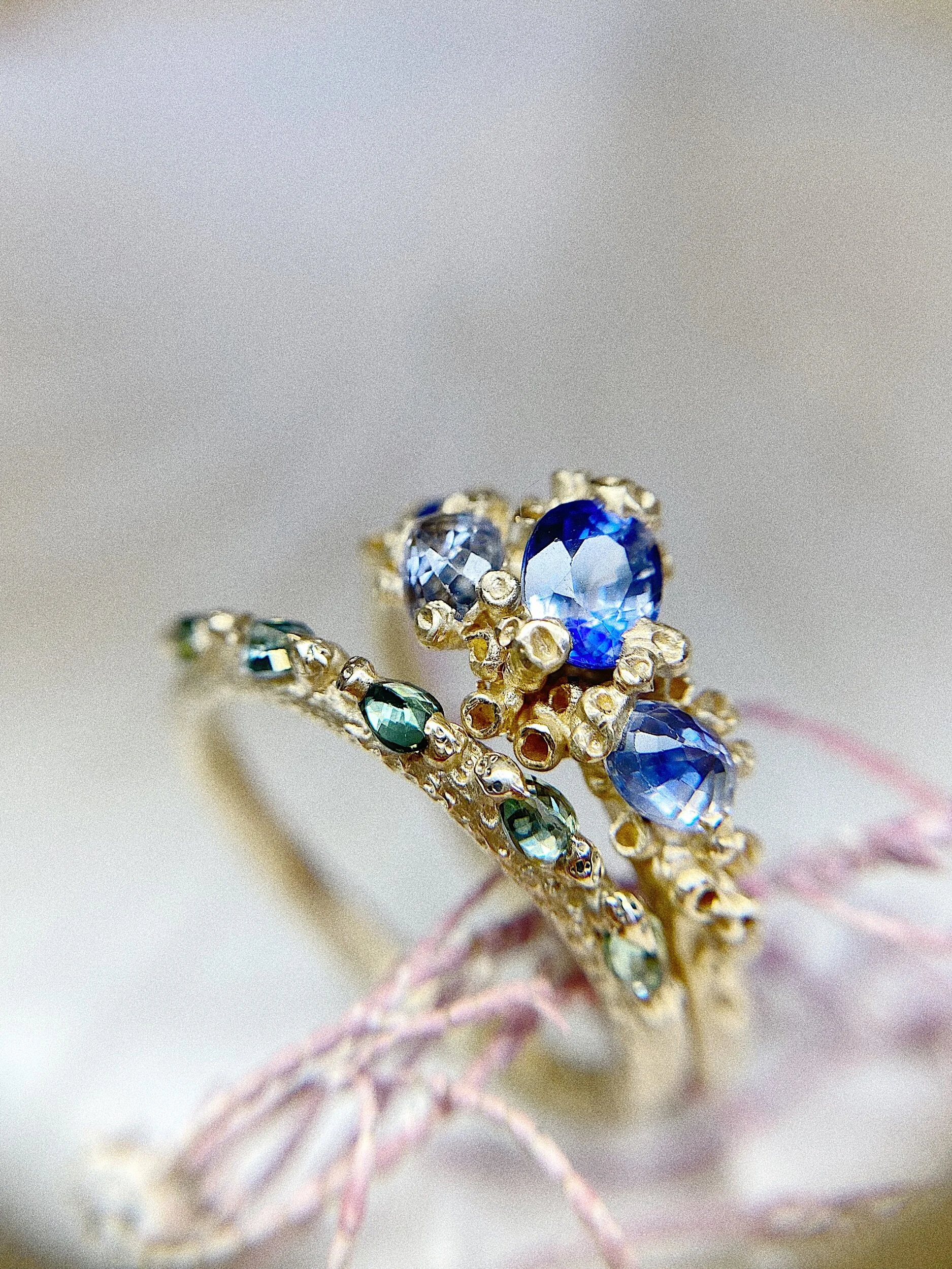 24BD230F-26DB-4EF2-90F1-F5850F6E24D6