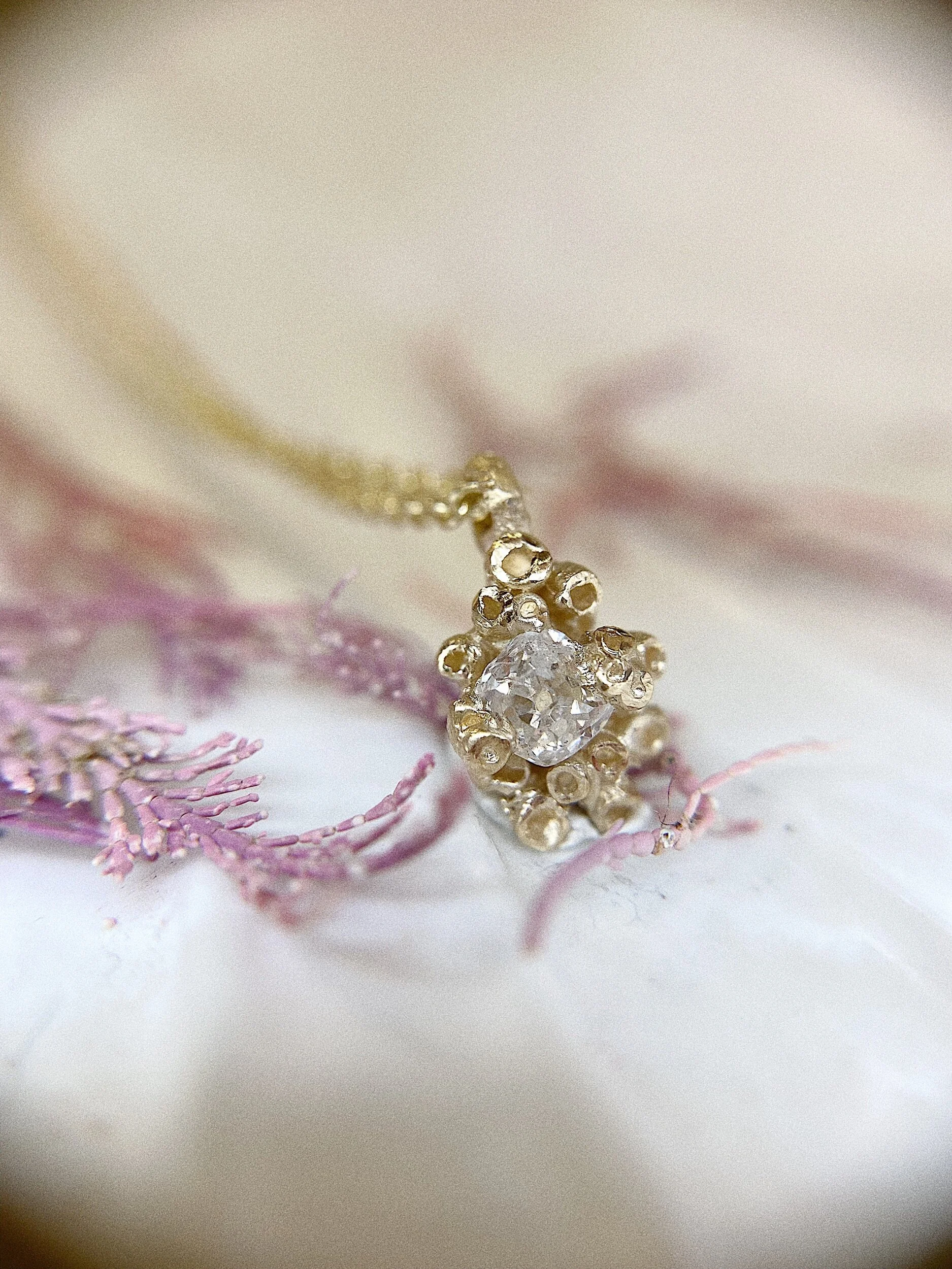 03376211-0143-4ECA-AD80-12A4131DCEA4