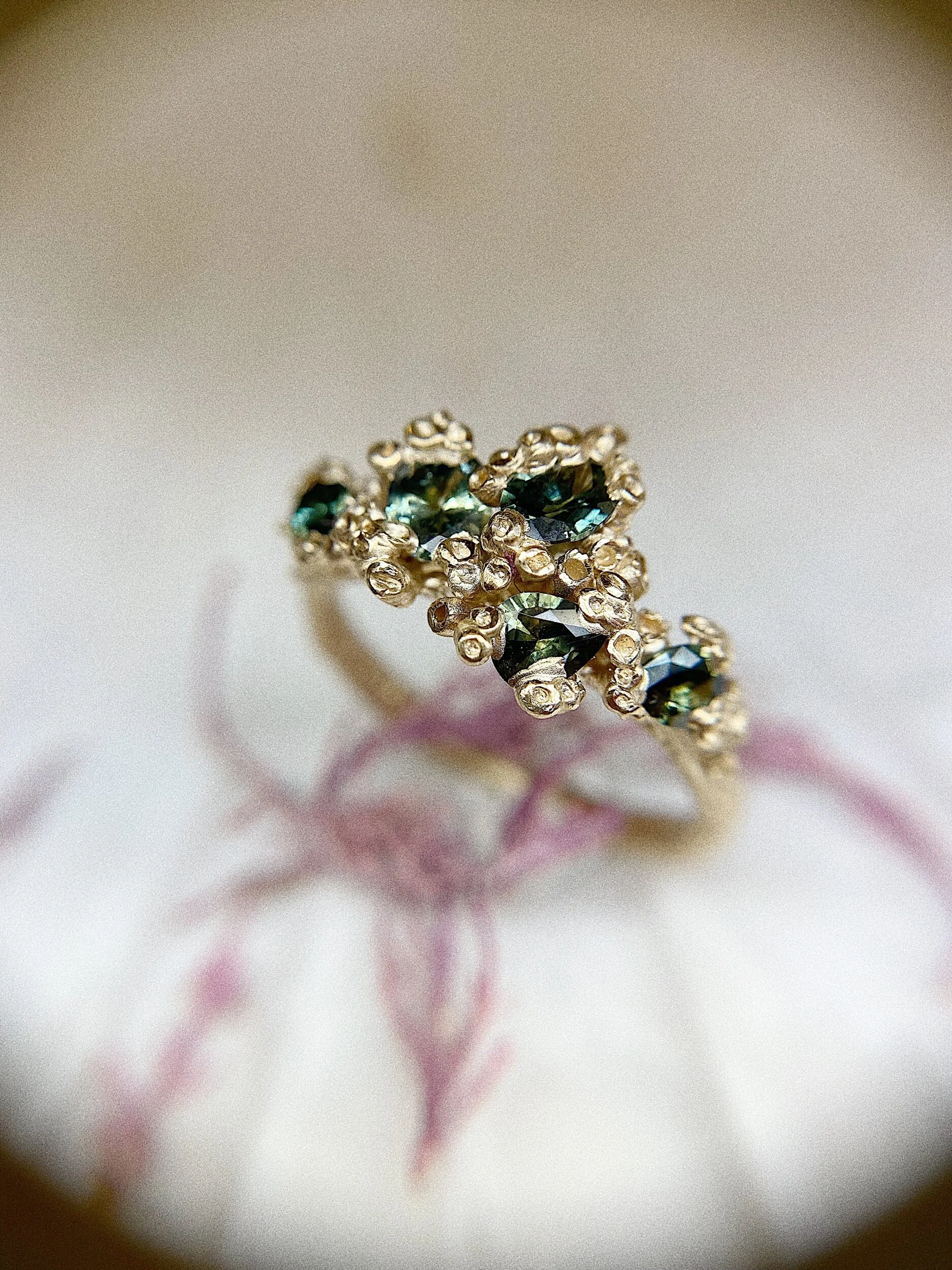 9C326010-835C-4559-80E7-2D50D98DCDAE