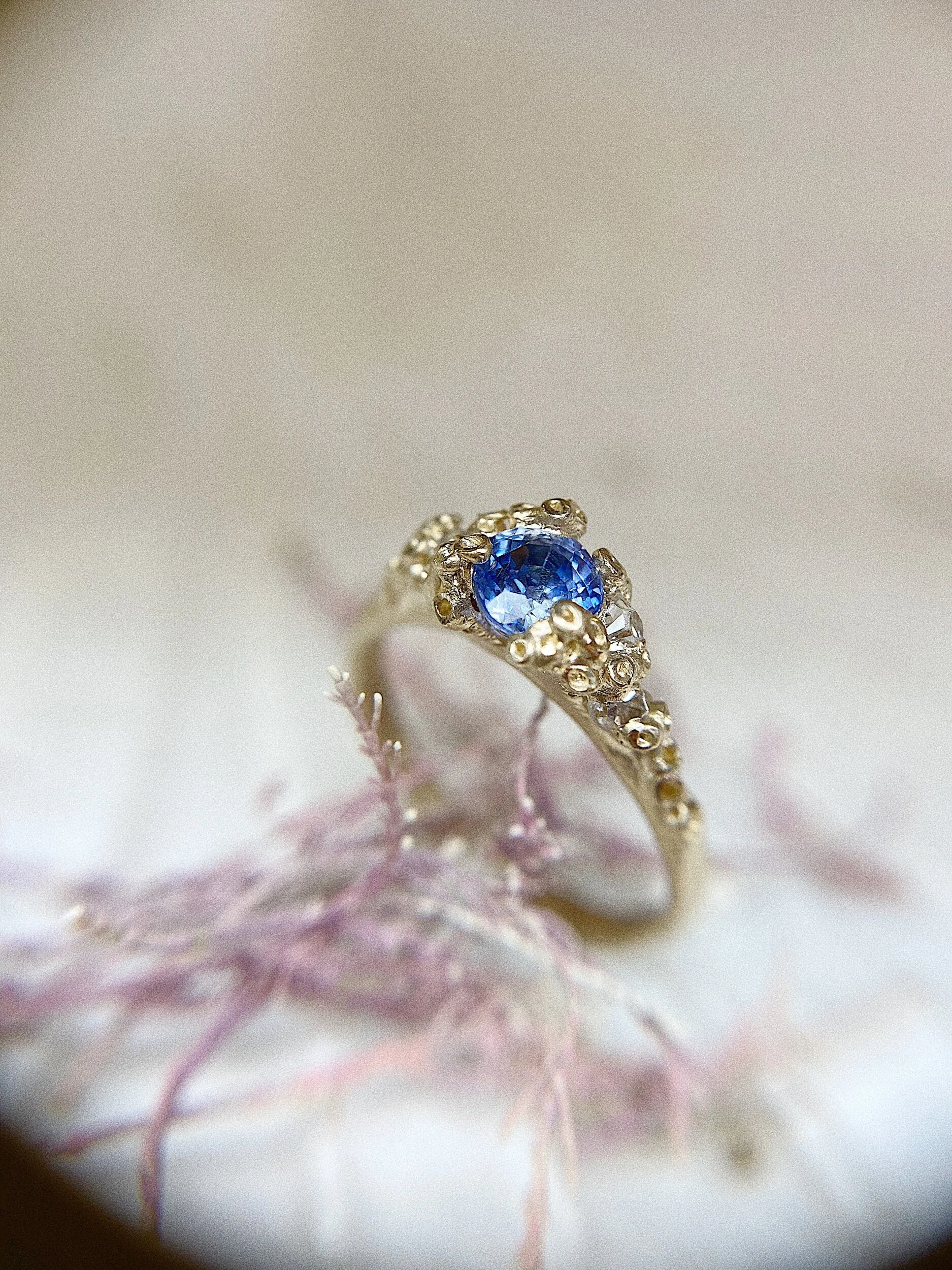 6FC81FFA-4529-48A1-AB85-F0BF3A9C1A70