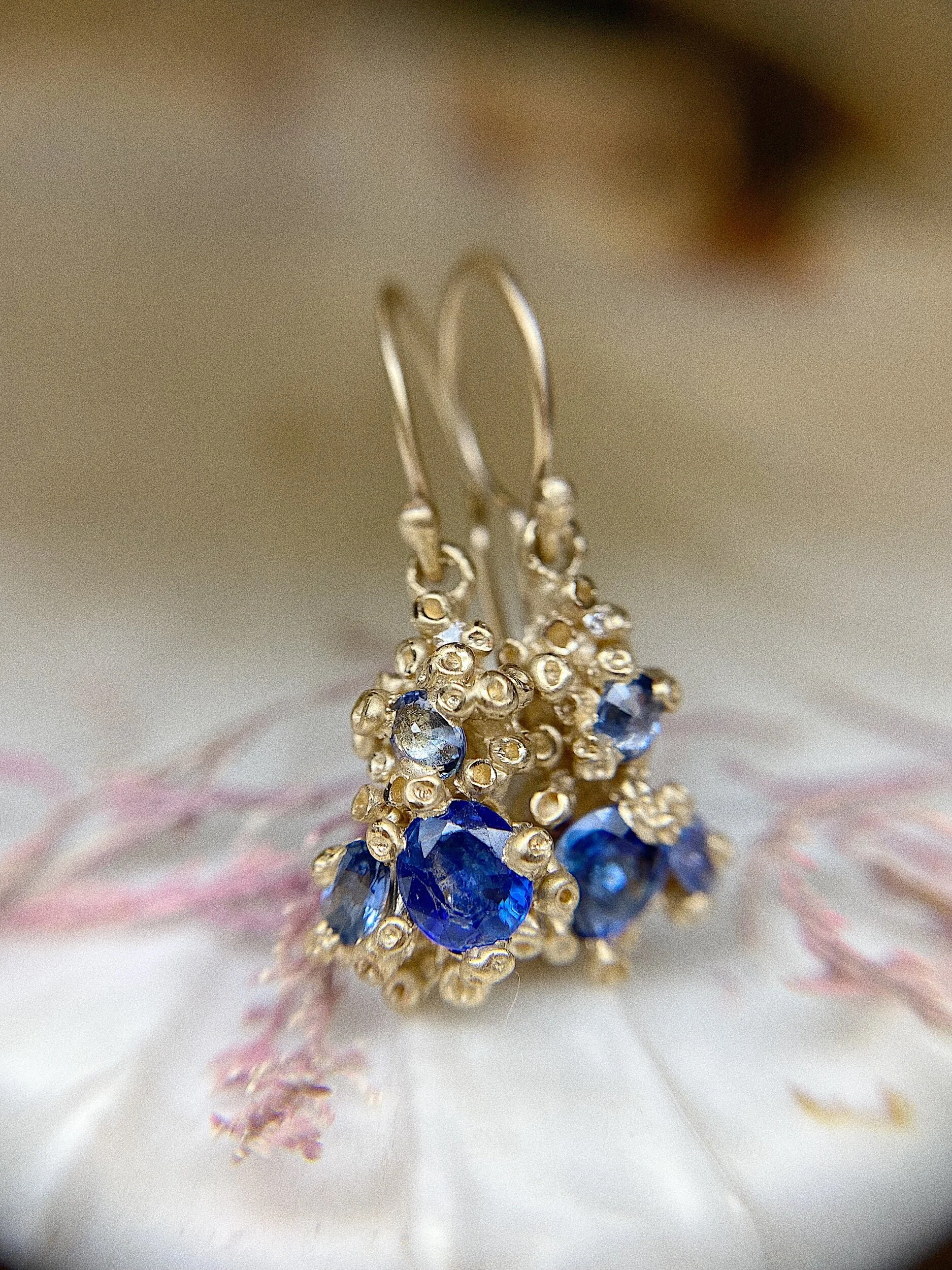 F93012EF-75EB-4A97-8A7F-8044FDA10117