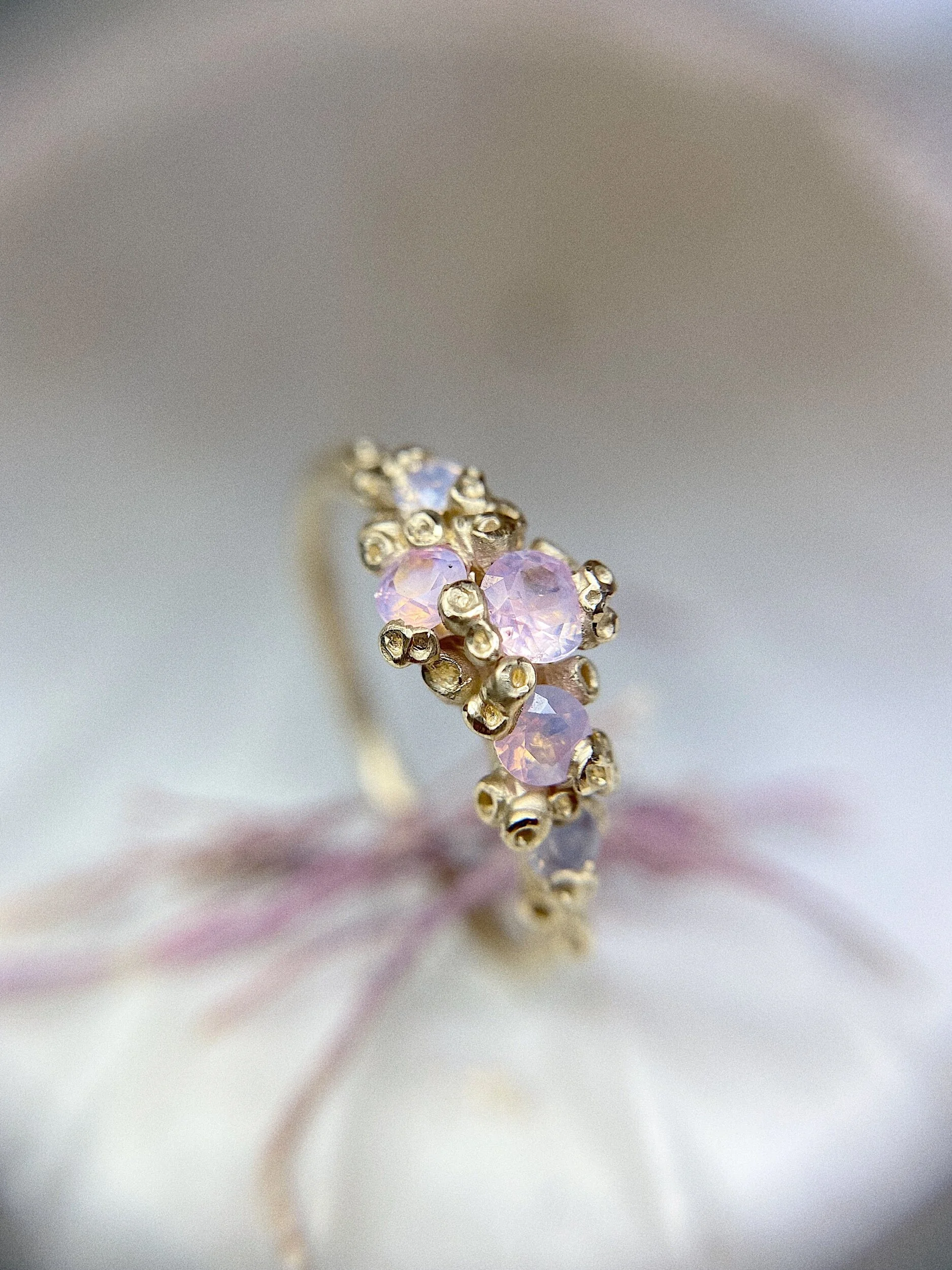 309B0051-E19D-498C-8AB3-35D41B569AFB