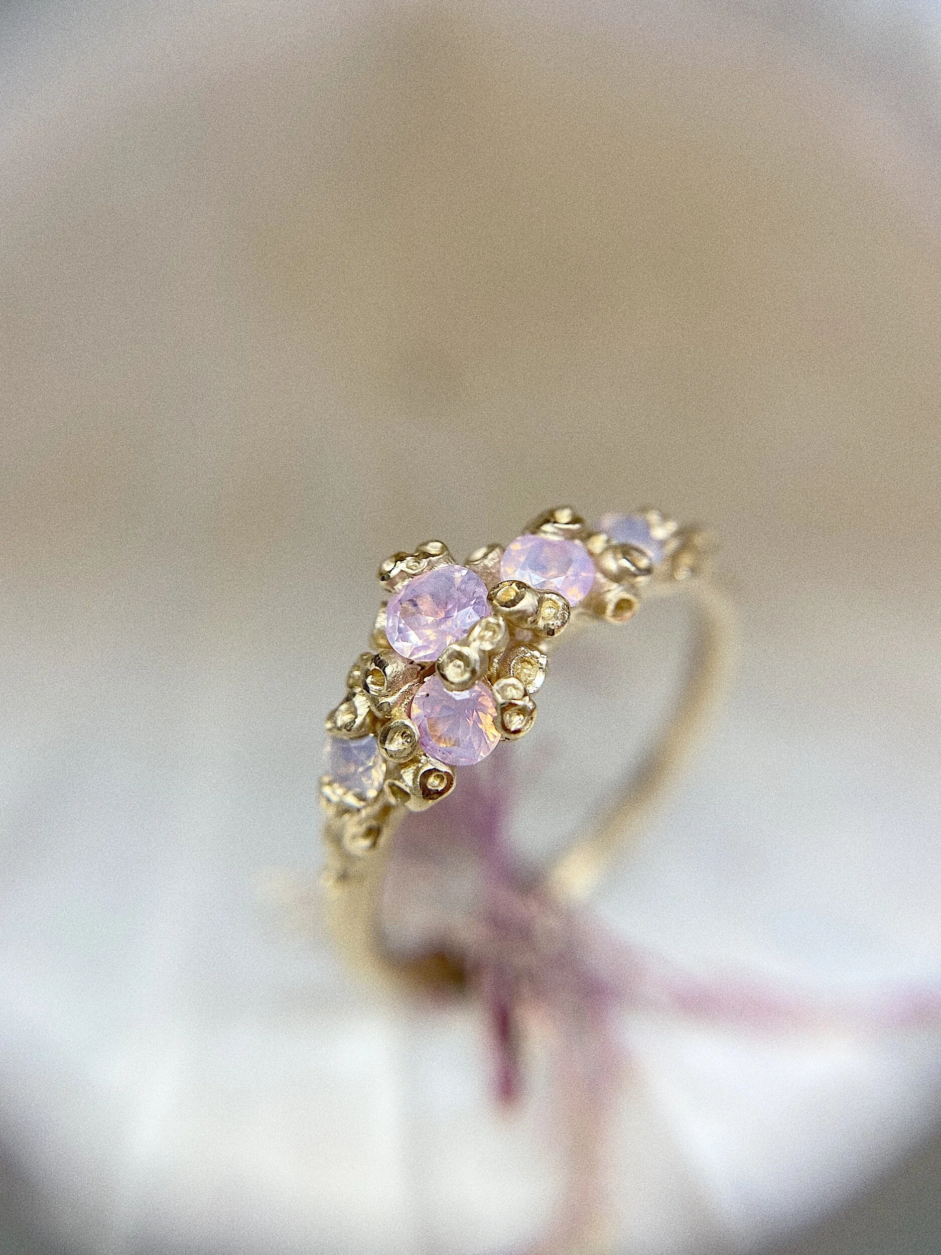 268F0365-AD79-47A2-868C-48F379E99048