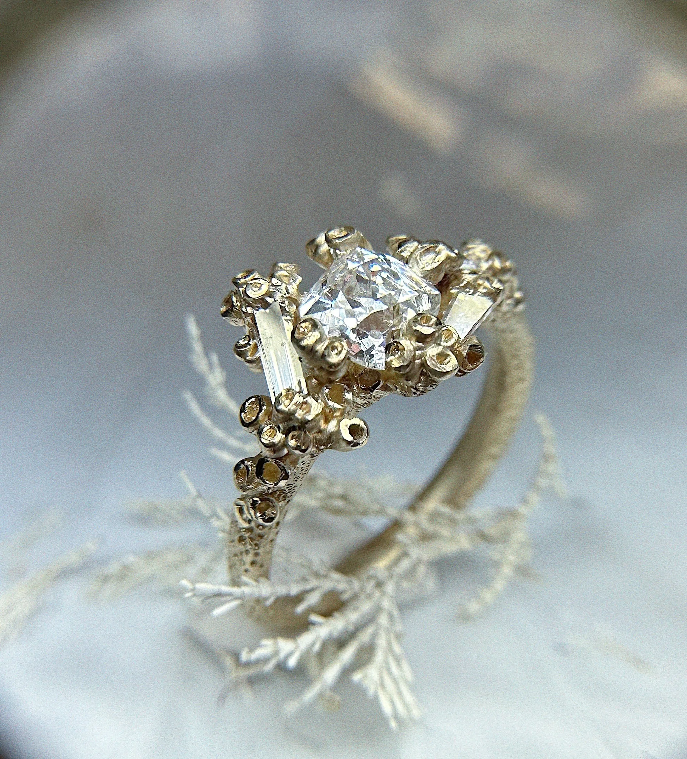 77912508-B420-4FBA-B985-B388DC46B4C7