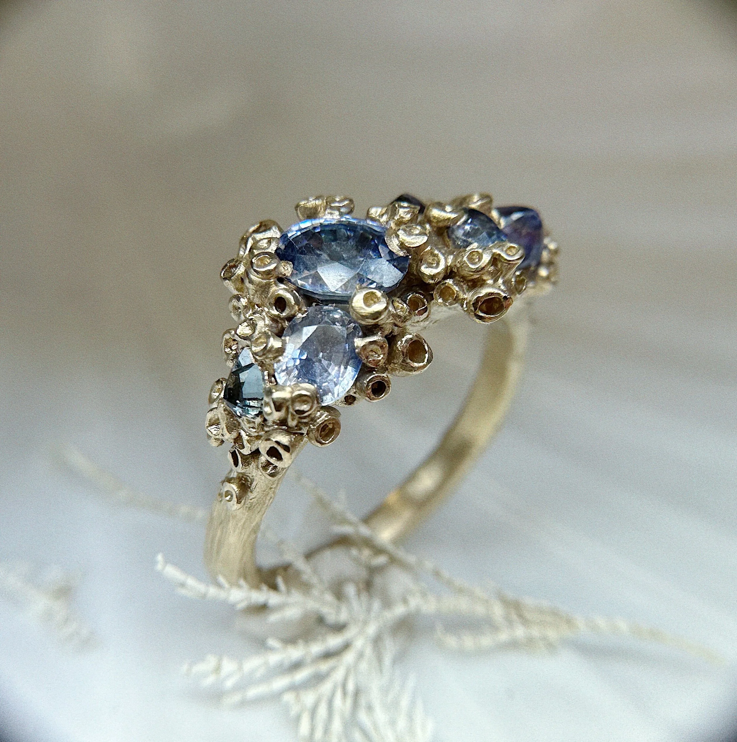 FCCD7506-75C7-402F-B40E-E03BD6F69F1B