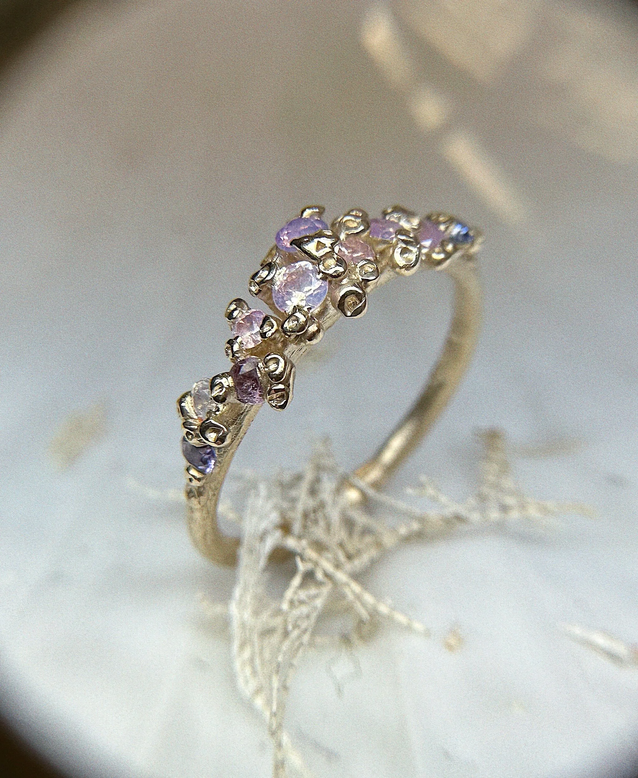 1312EE8F-36CE-4F75-9542-0009932B799D