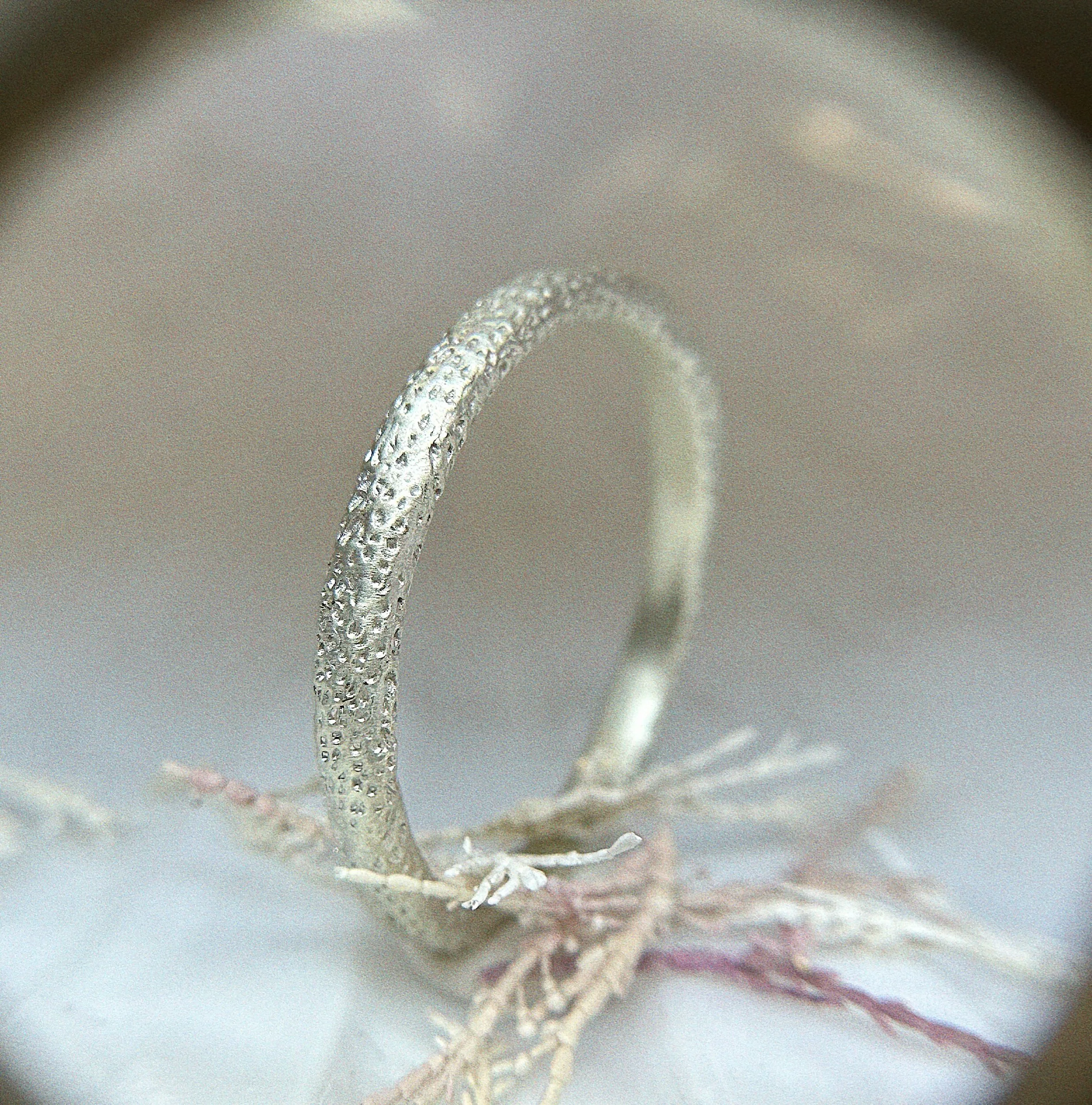 F2A87EBB-5480-4195-A277-4A0465FD05E6