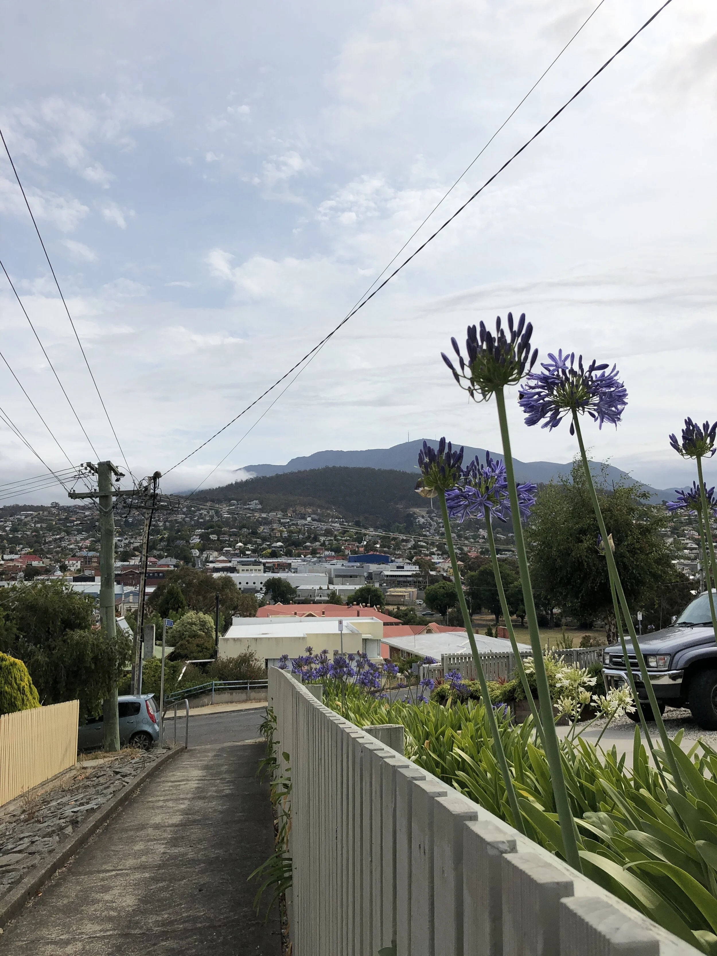 IMG_5819.jpeg