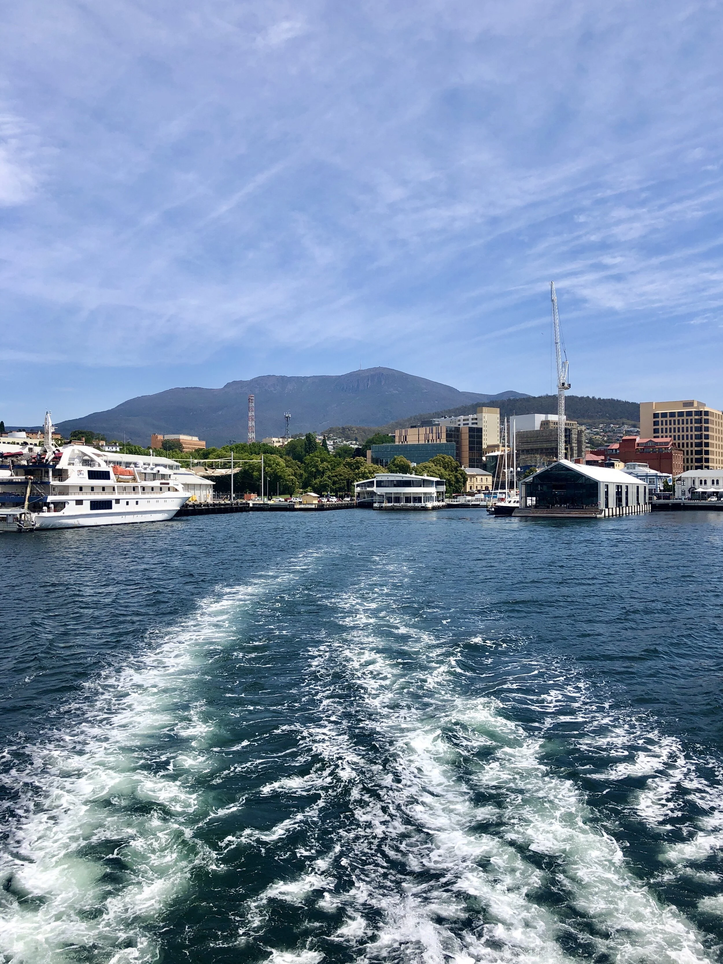 IMG_5860.jpeg