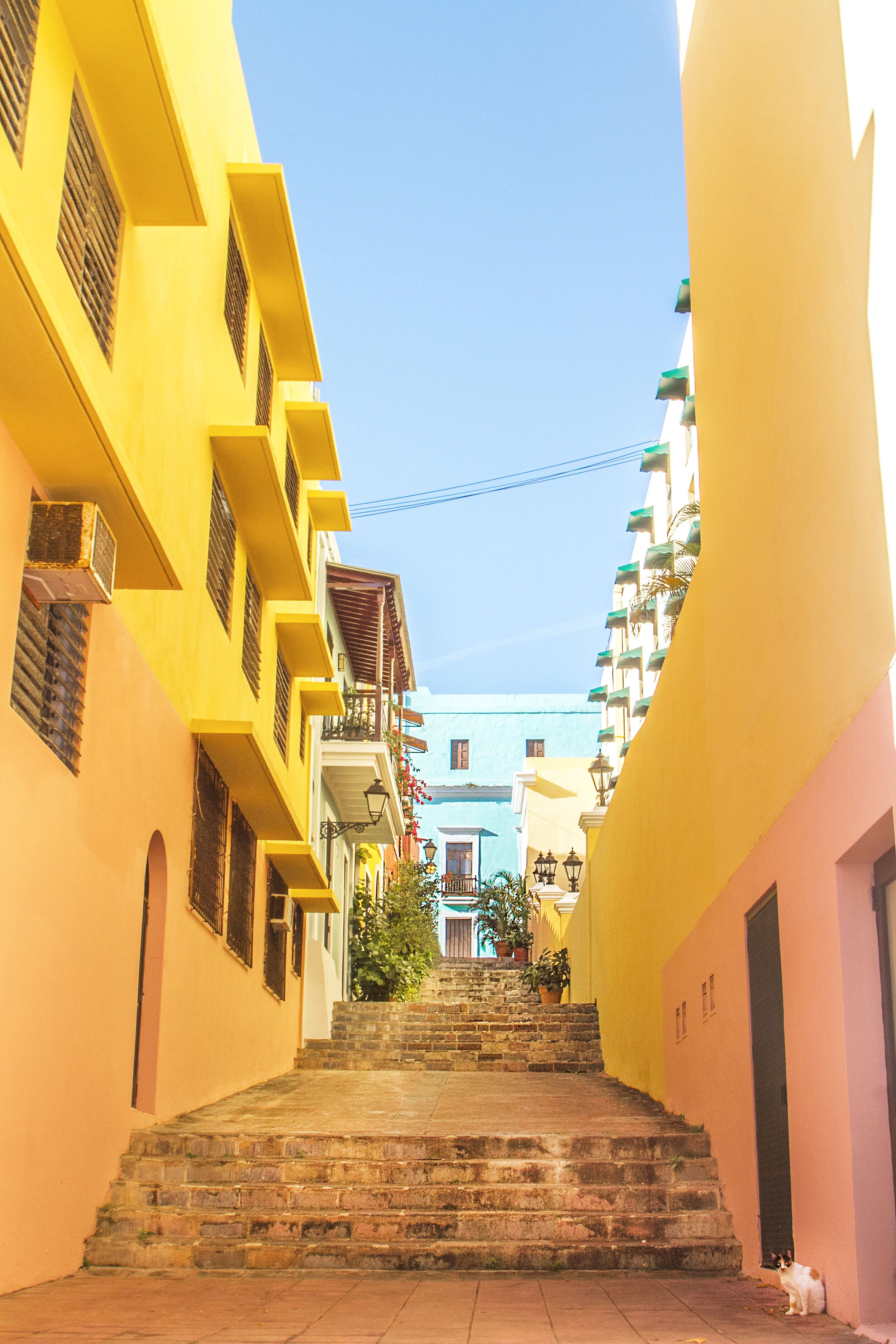 Yellow.jpg