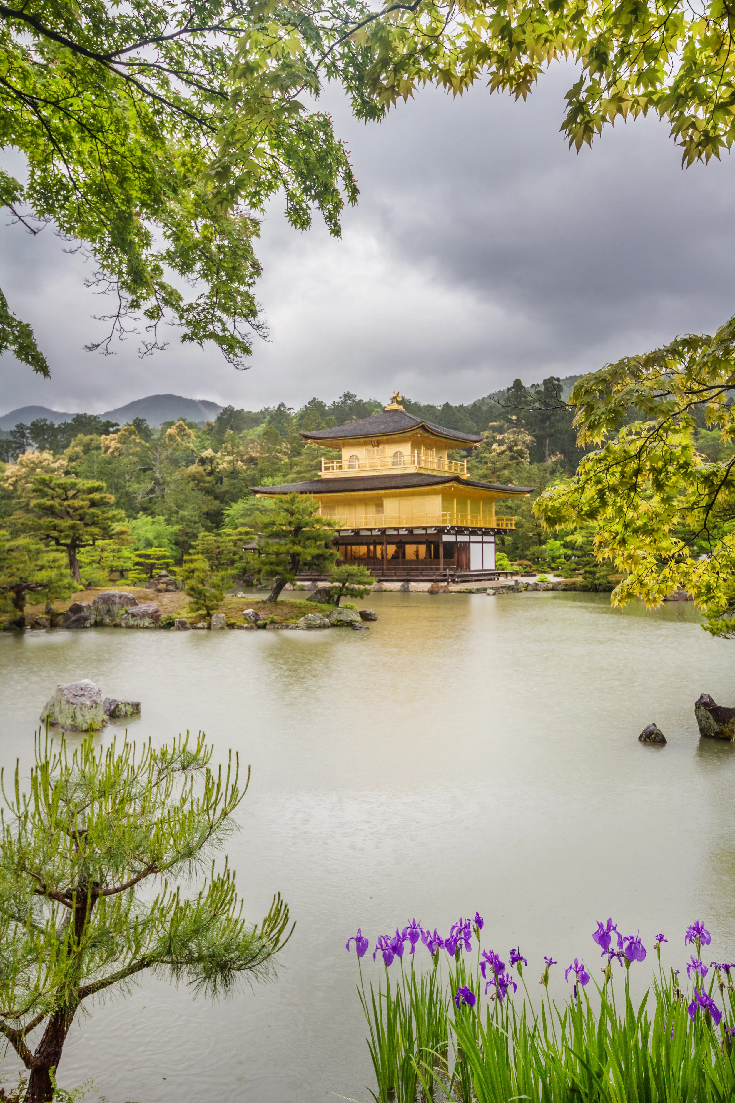 Golden temple - kyoto.jpg