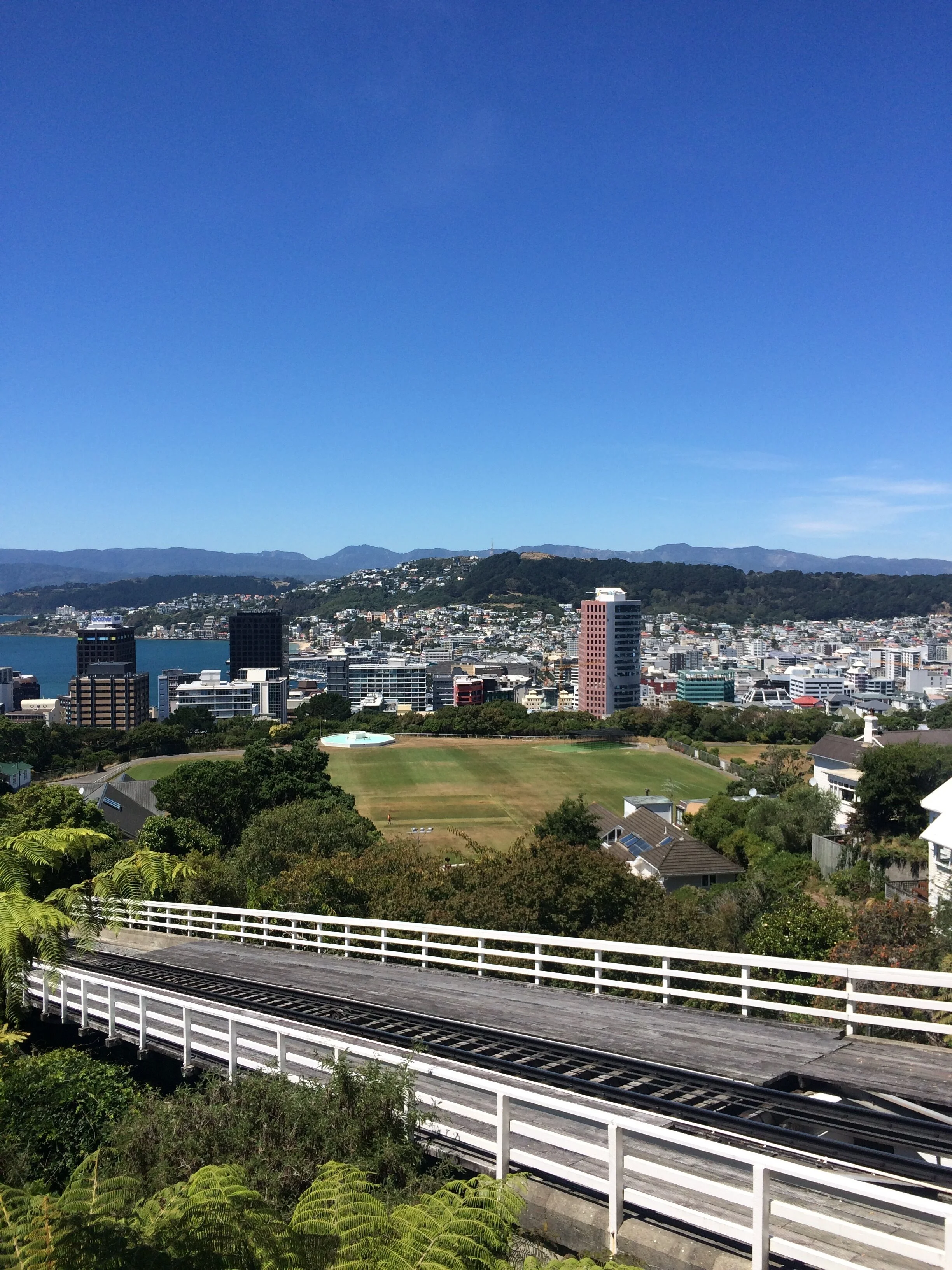 IMG_9868.jpeg