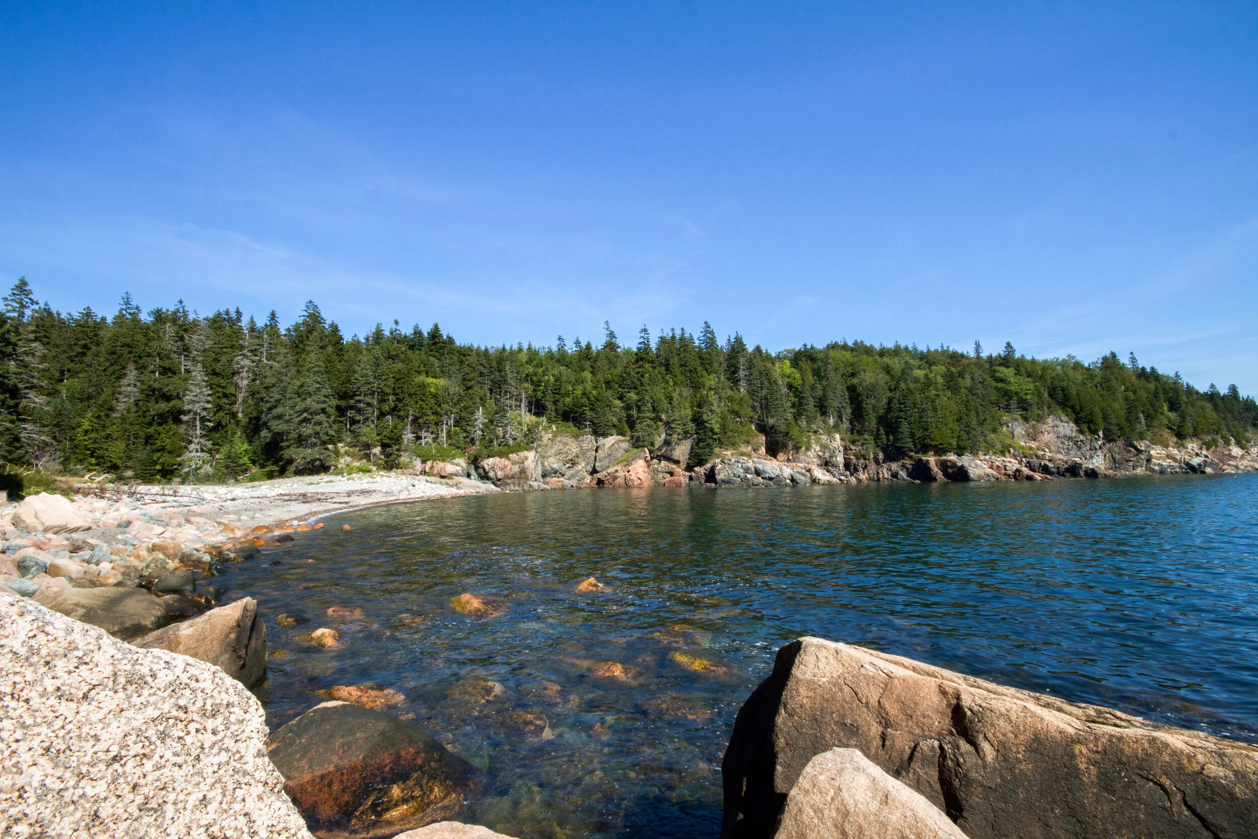 _MG_2422.jpg