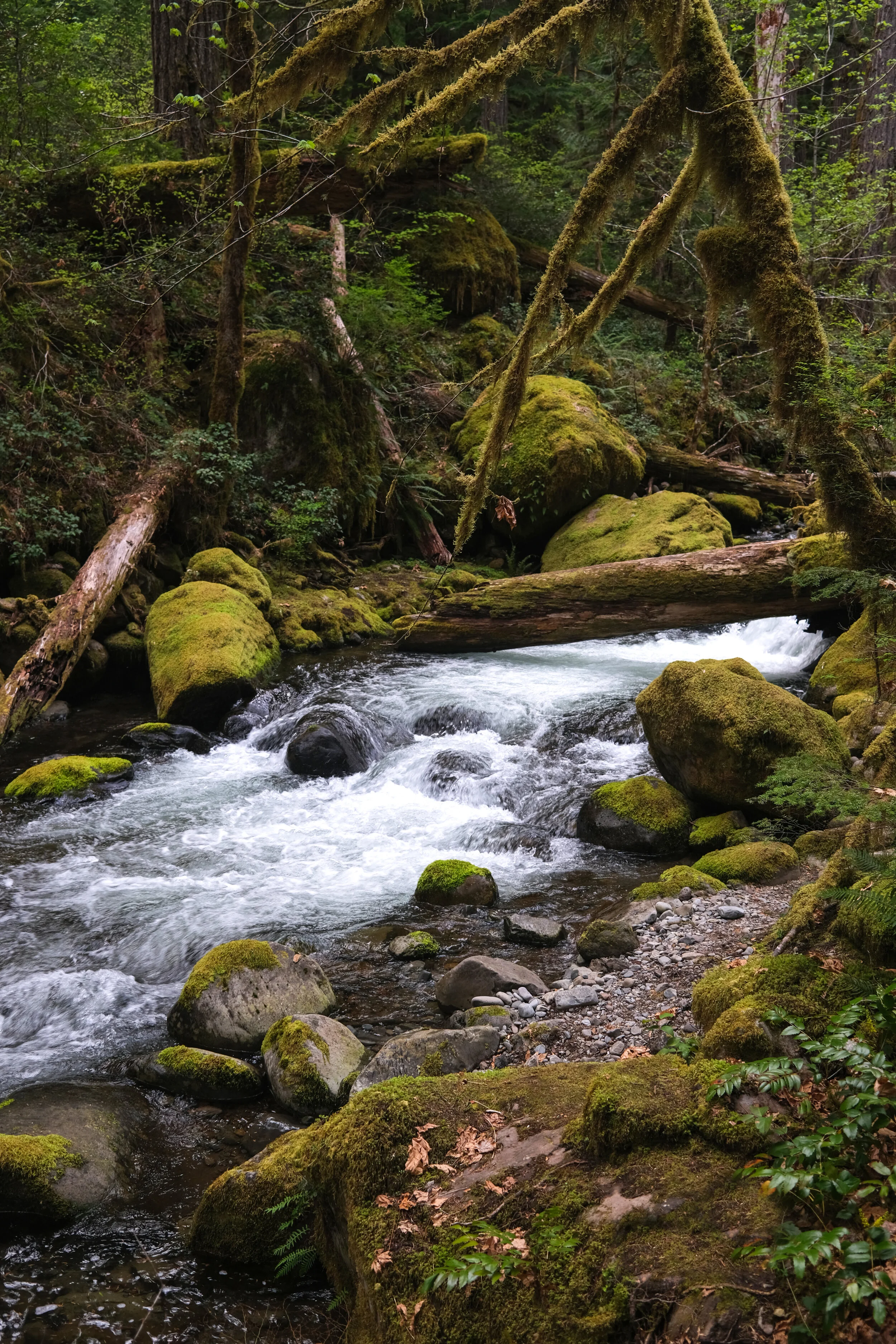 DSCF1168.JPG