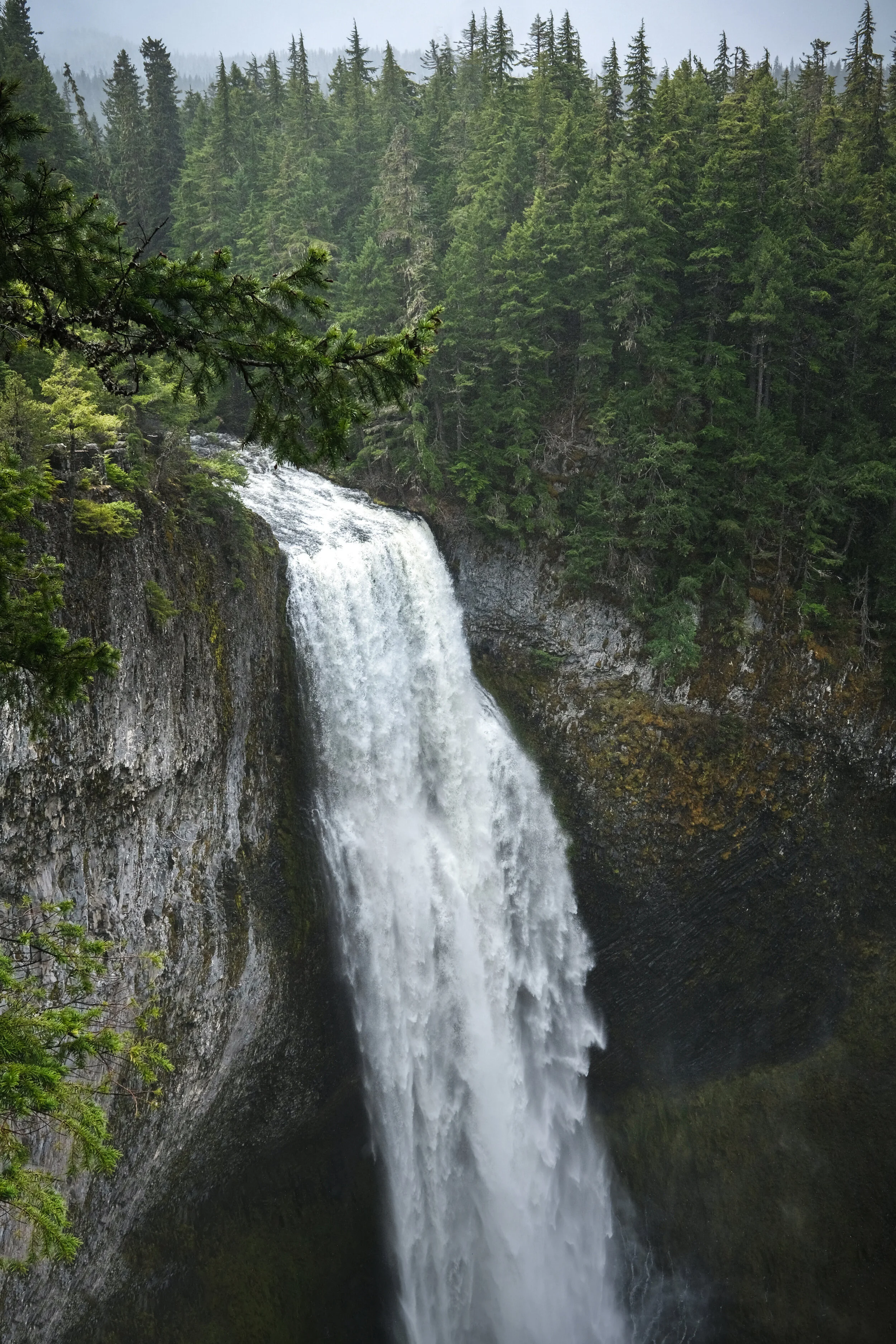 DSCF1209.JPG
