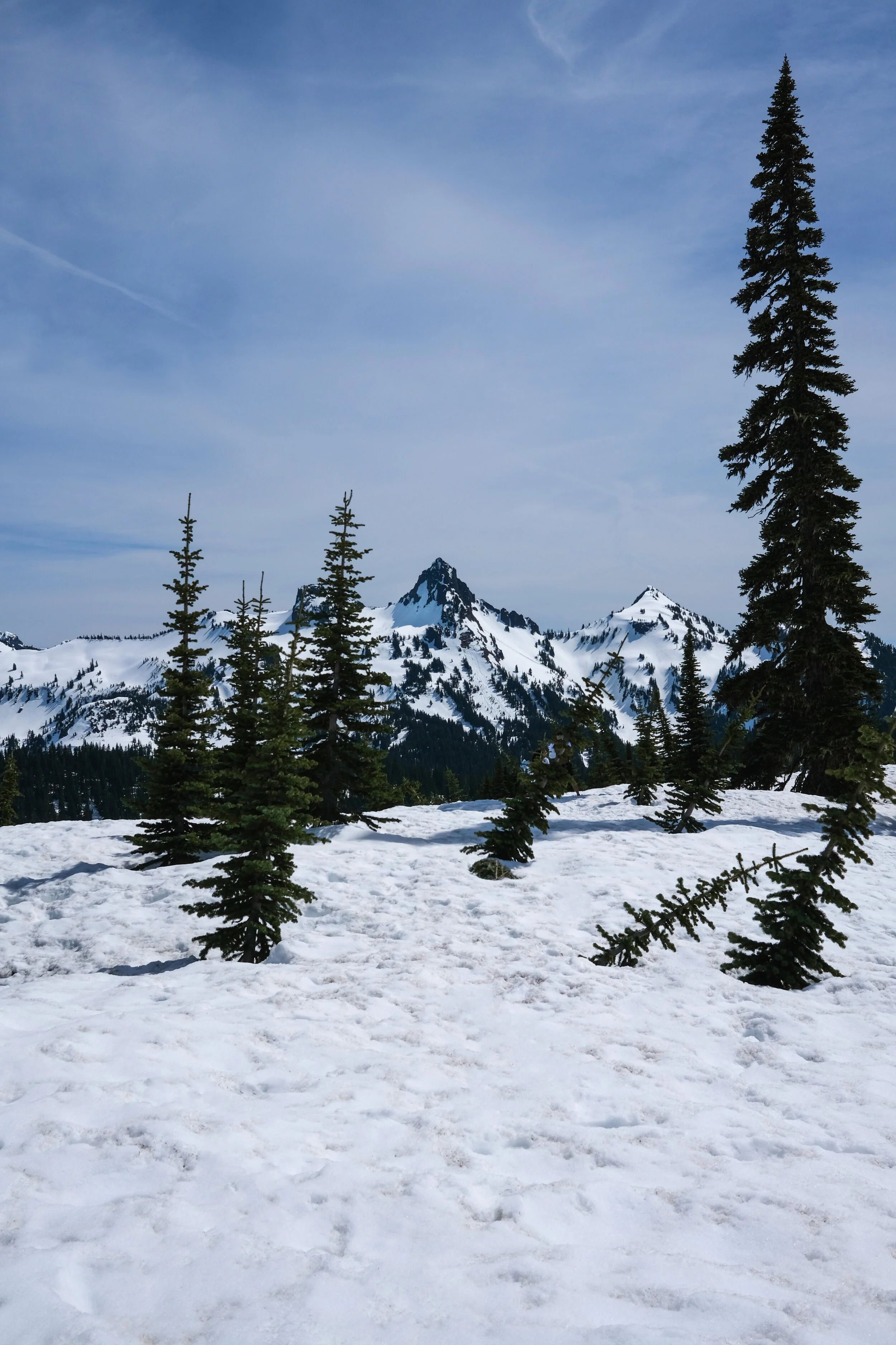 DSCF0800.JPG