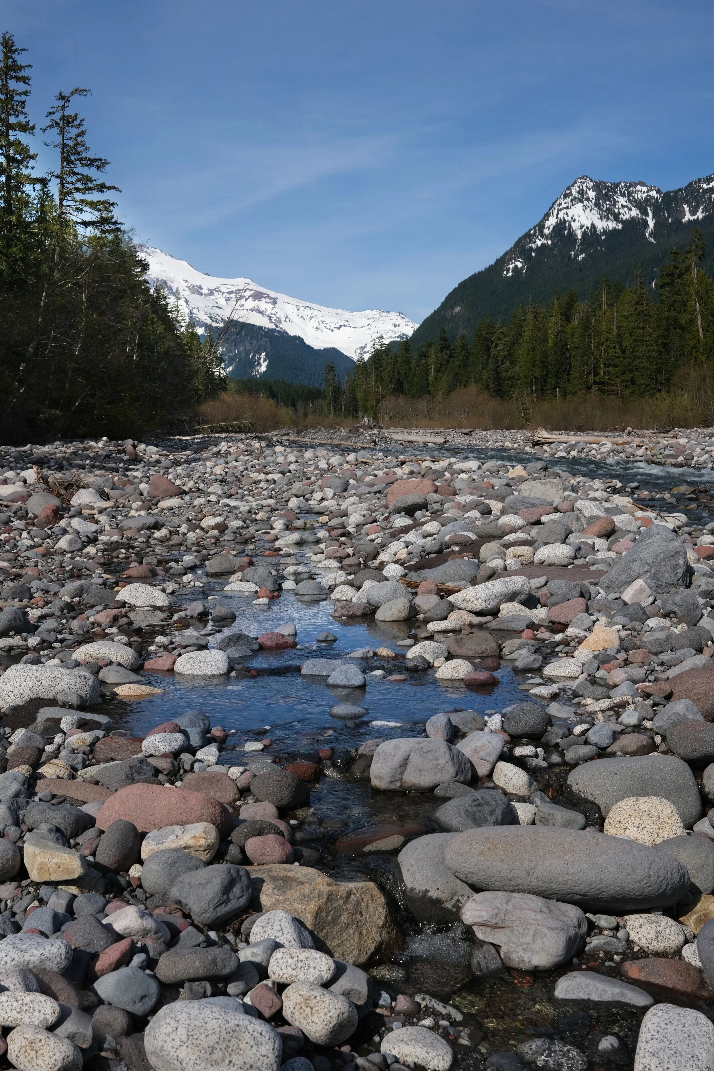 DSCF0890.JPG