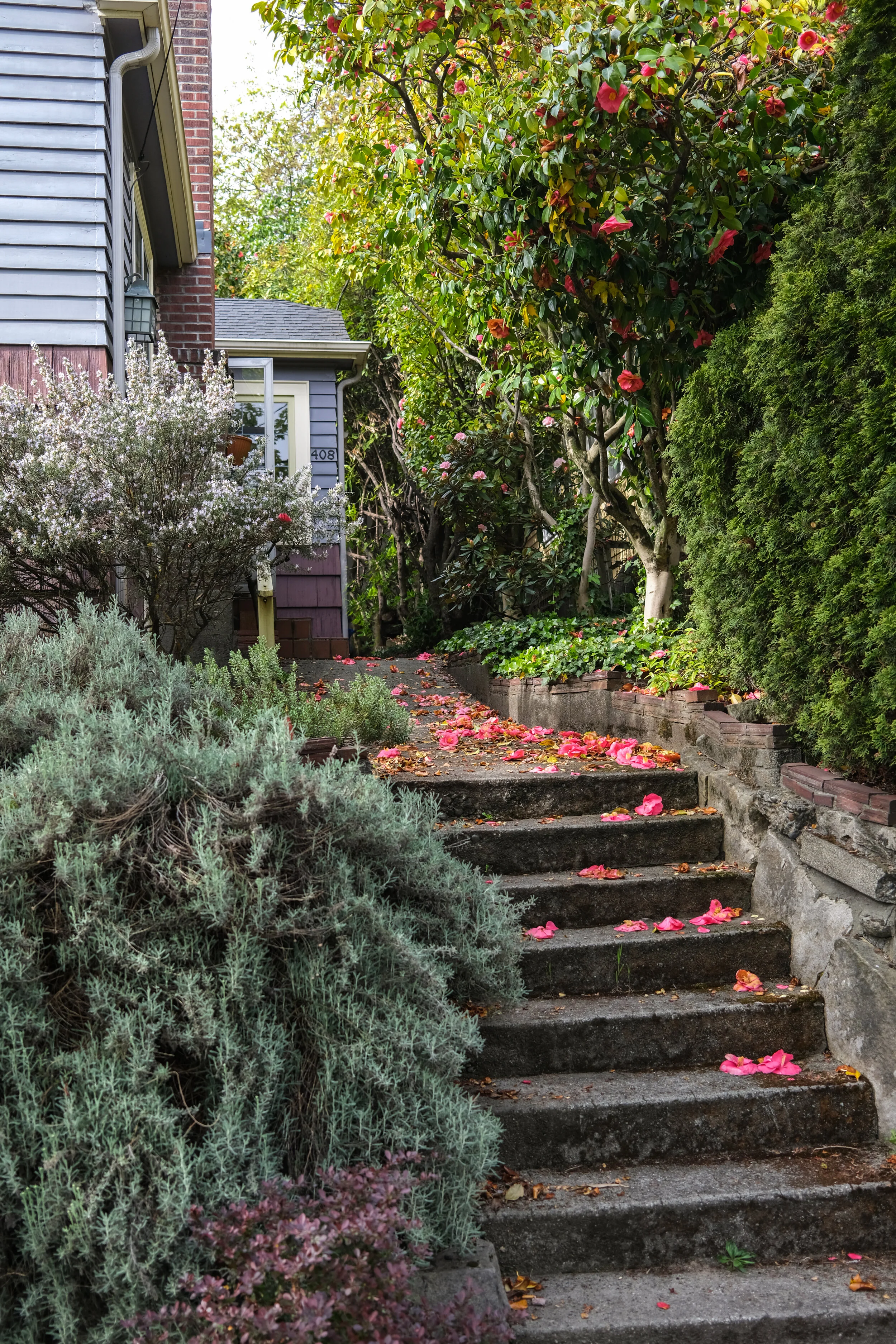 DSCF0469.JPG