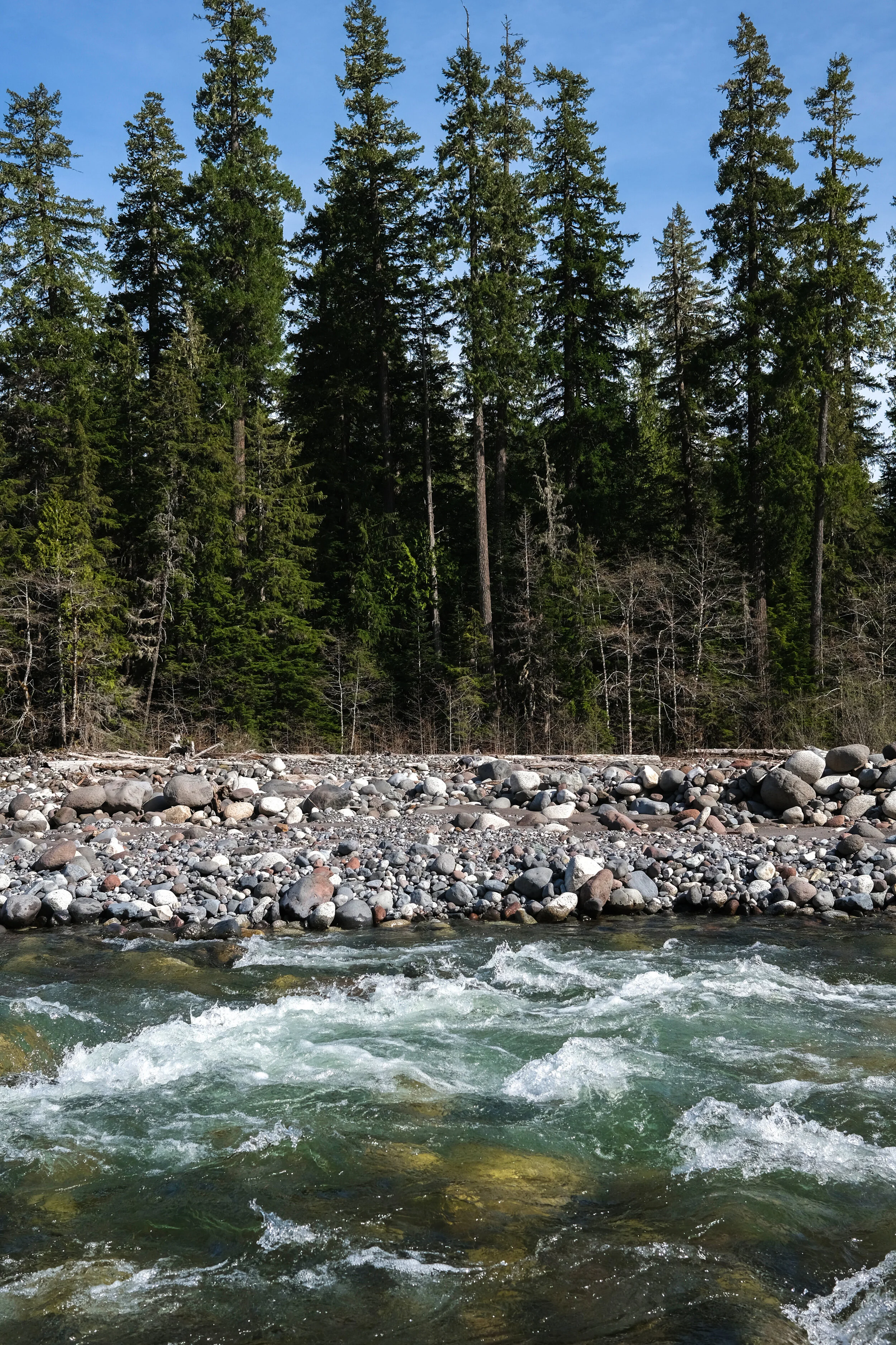 DSCF0898.JPG