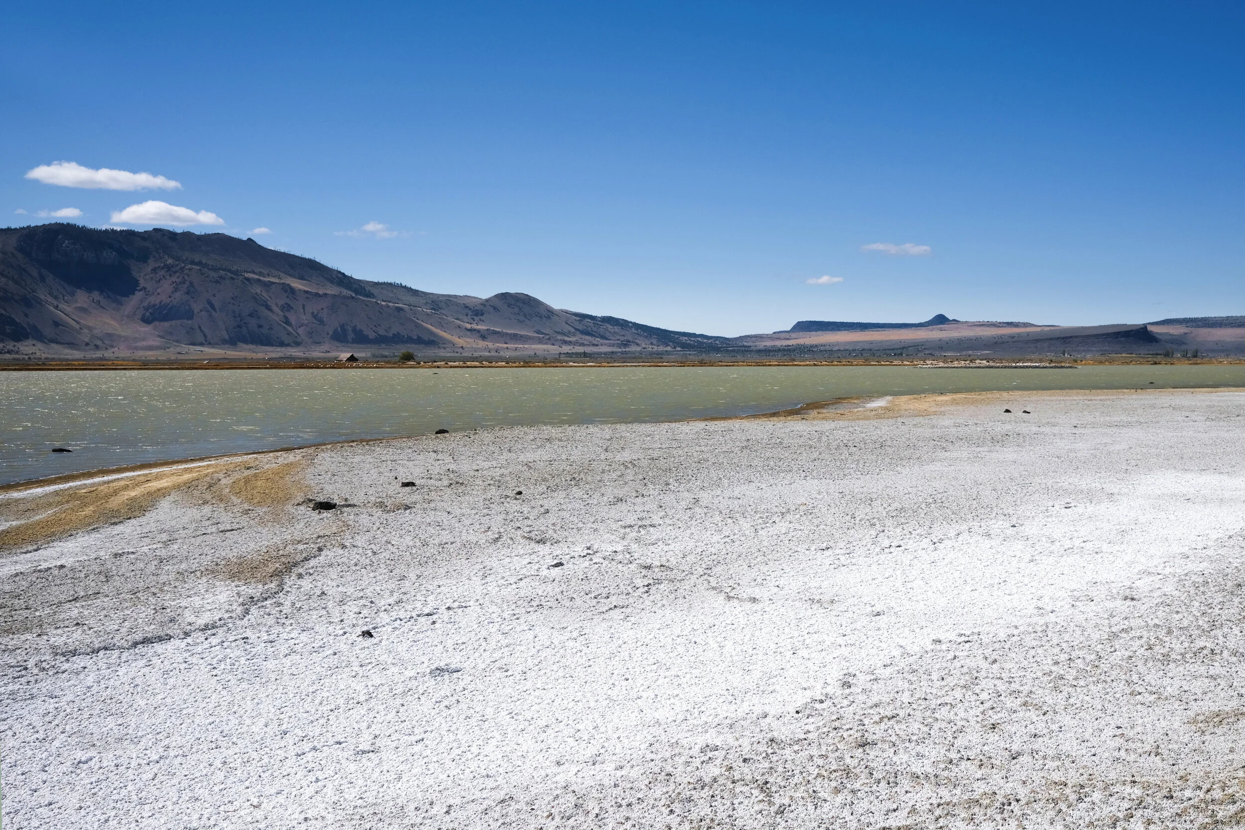 DSCF1261.JPG
