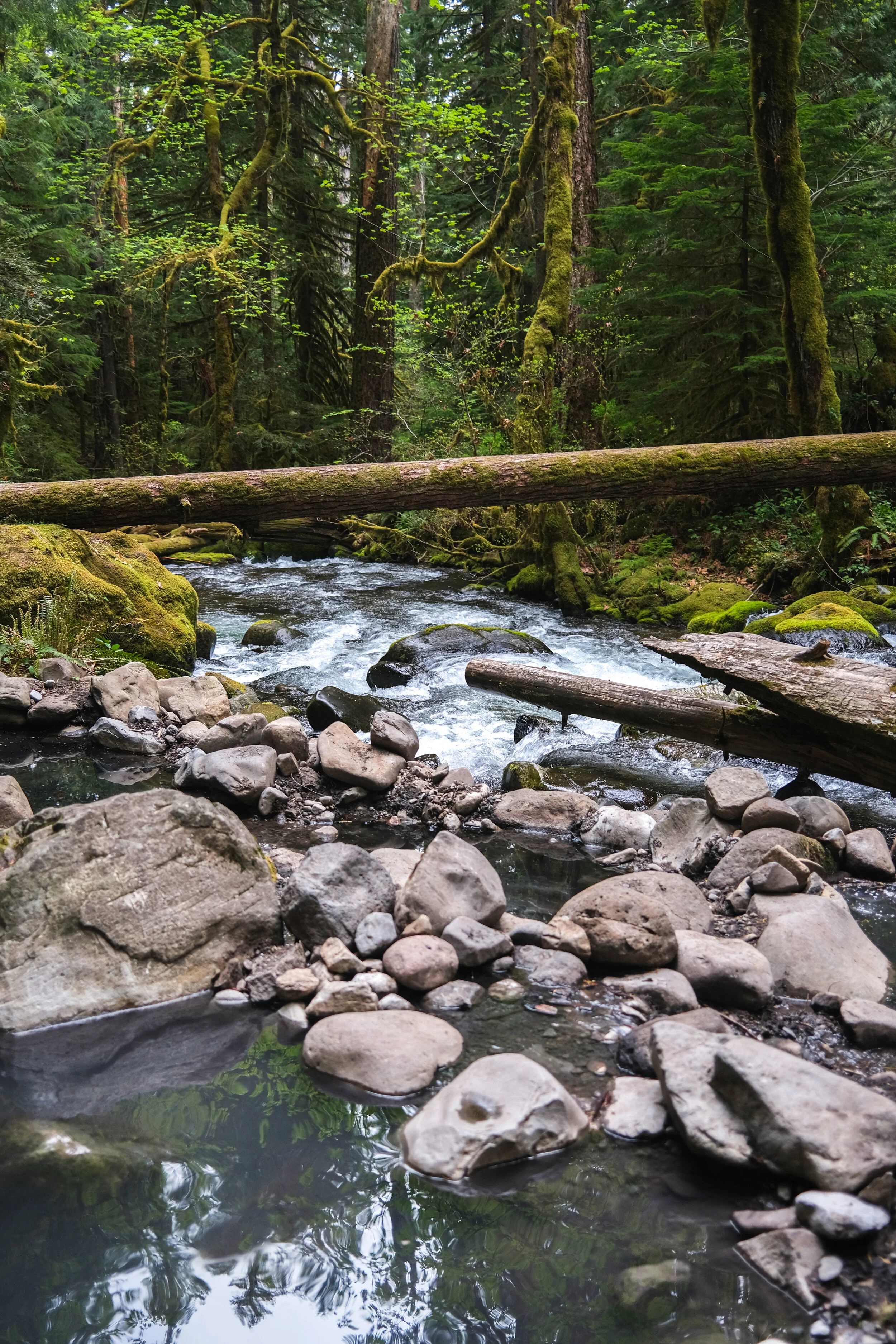 DSCF1157.JPG