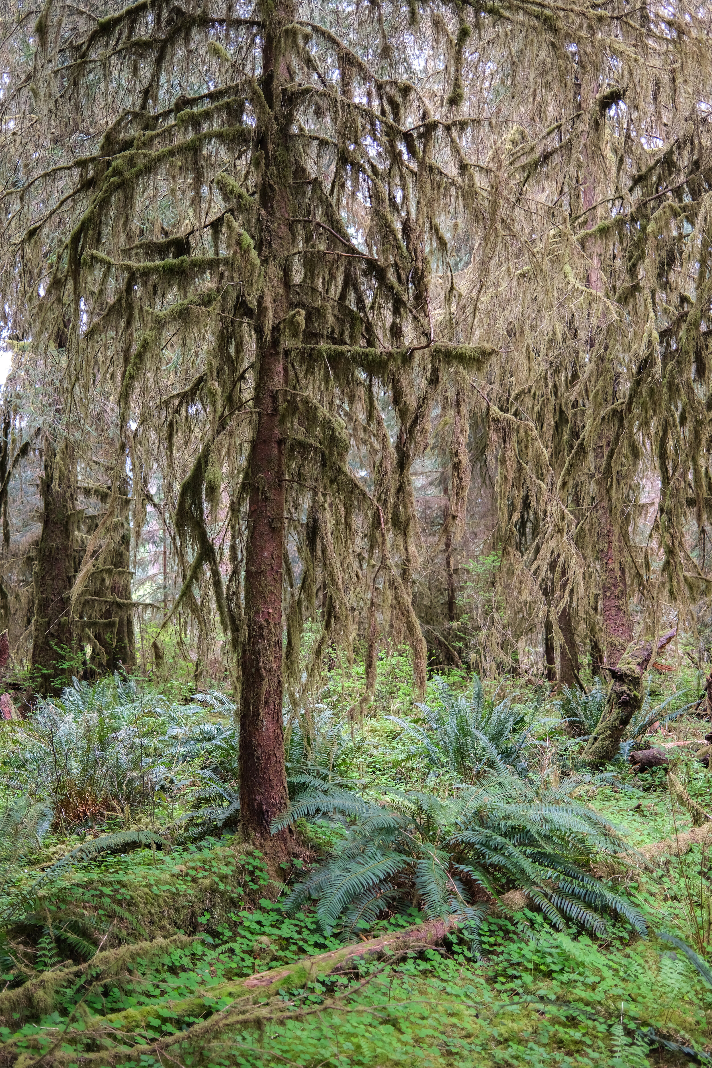 DSCF0633.JPG