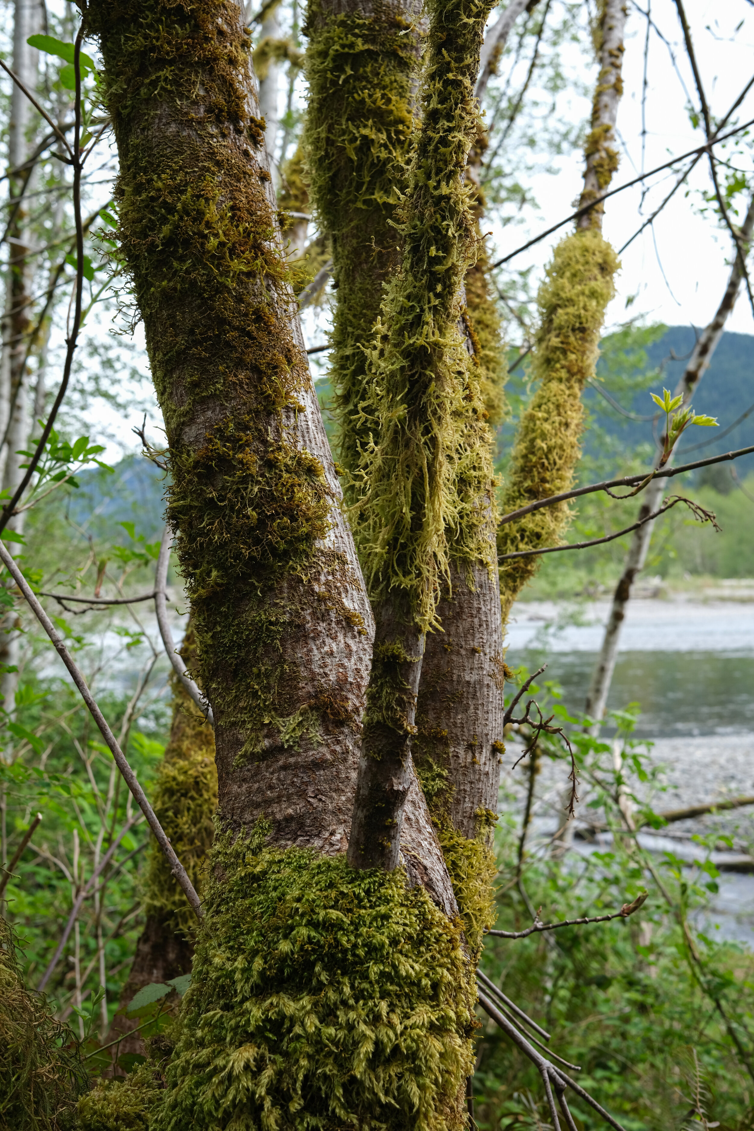 DSCF0609.JPG