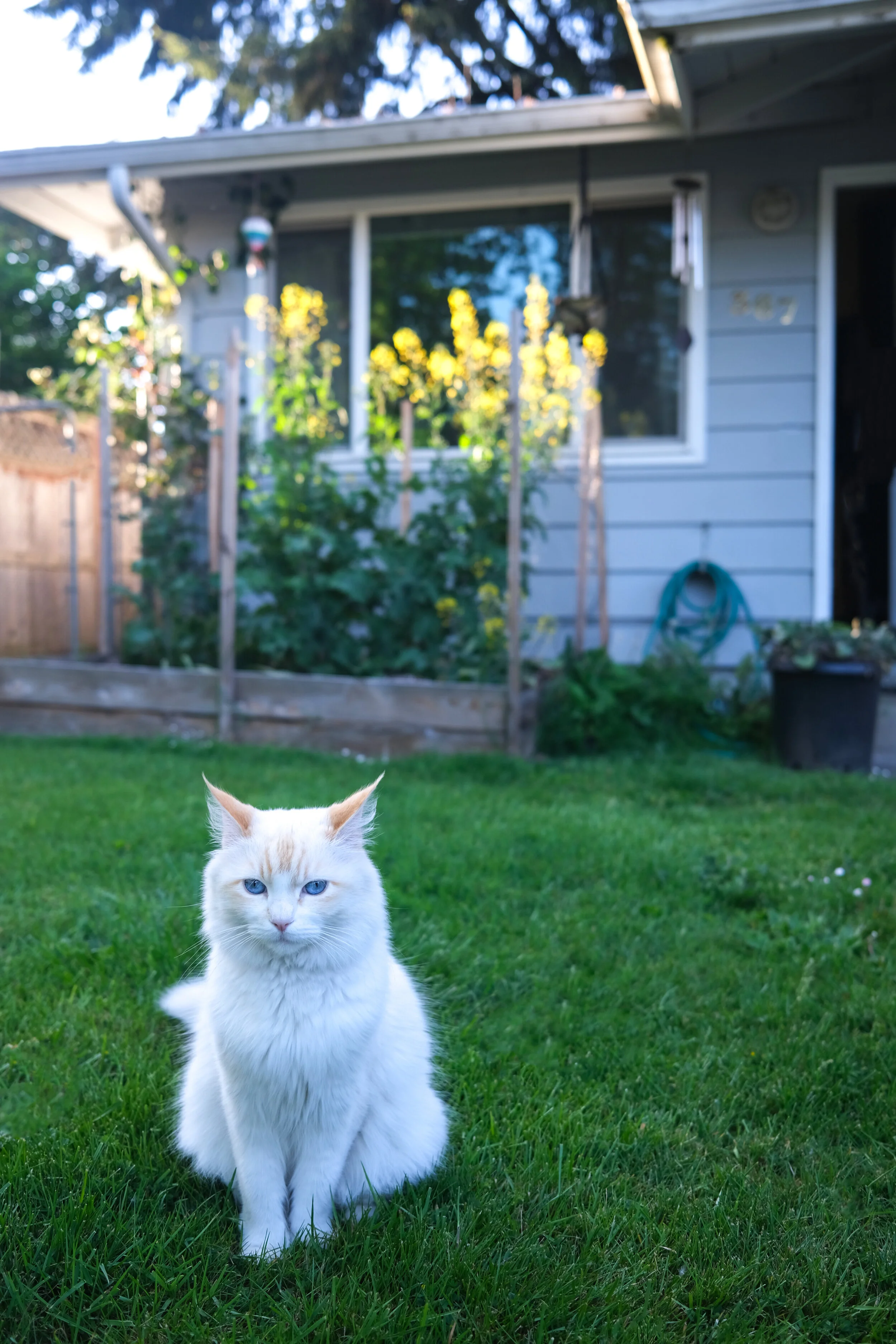 DSCF1126.JPG